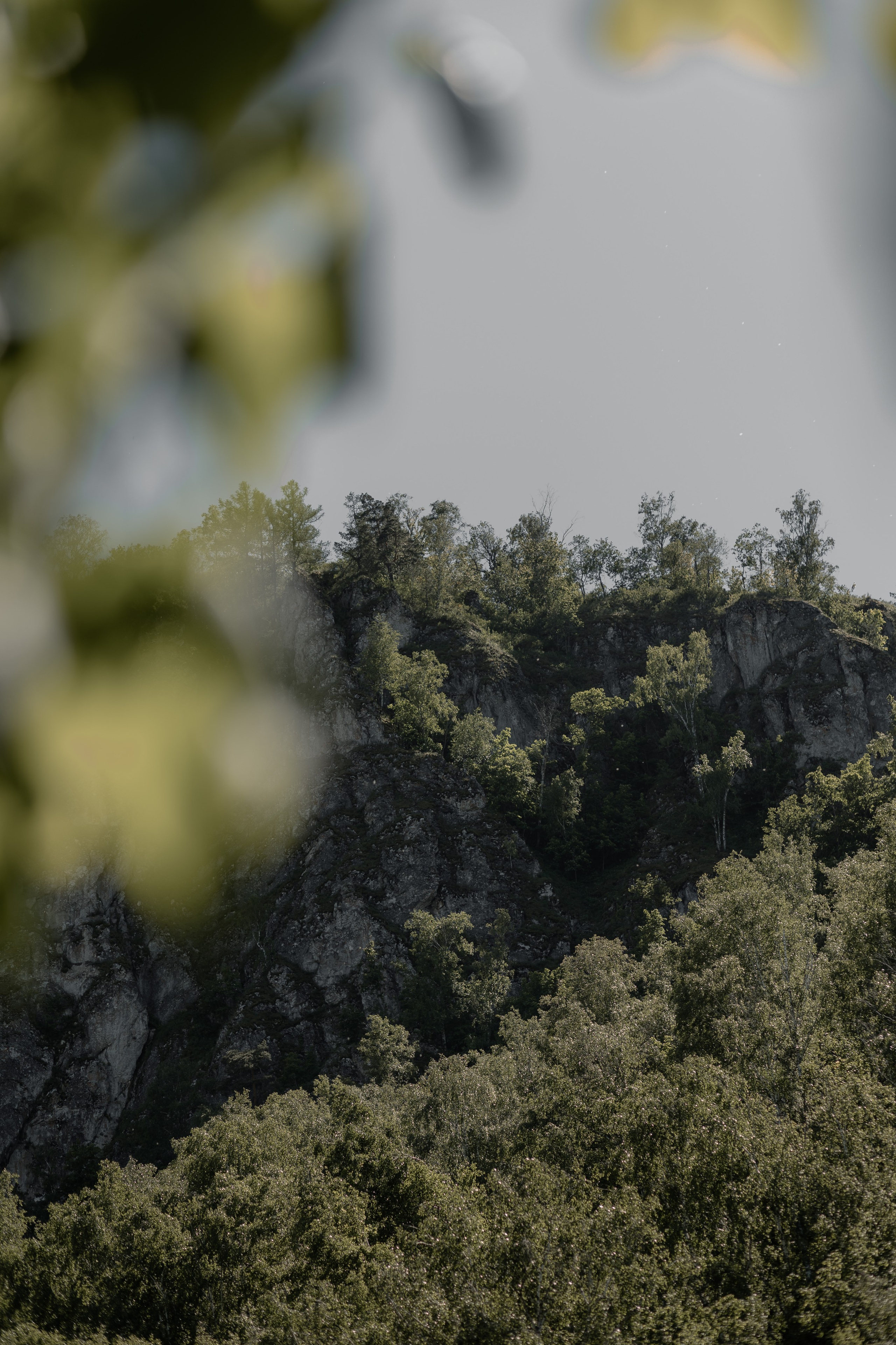 Ильгиз и Нурсина. Фотограф в Кумертау Уфа Мелеуз Салават Александра Сапрыкина