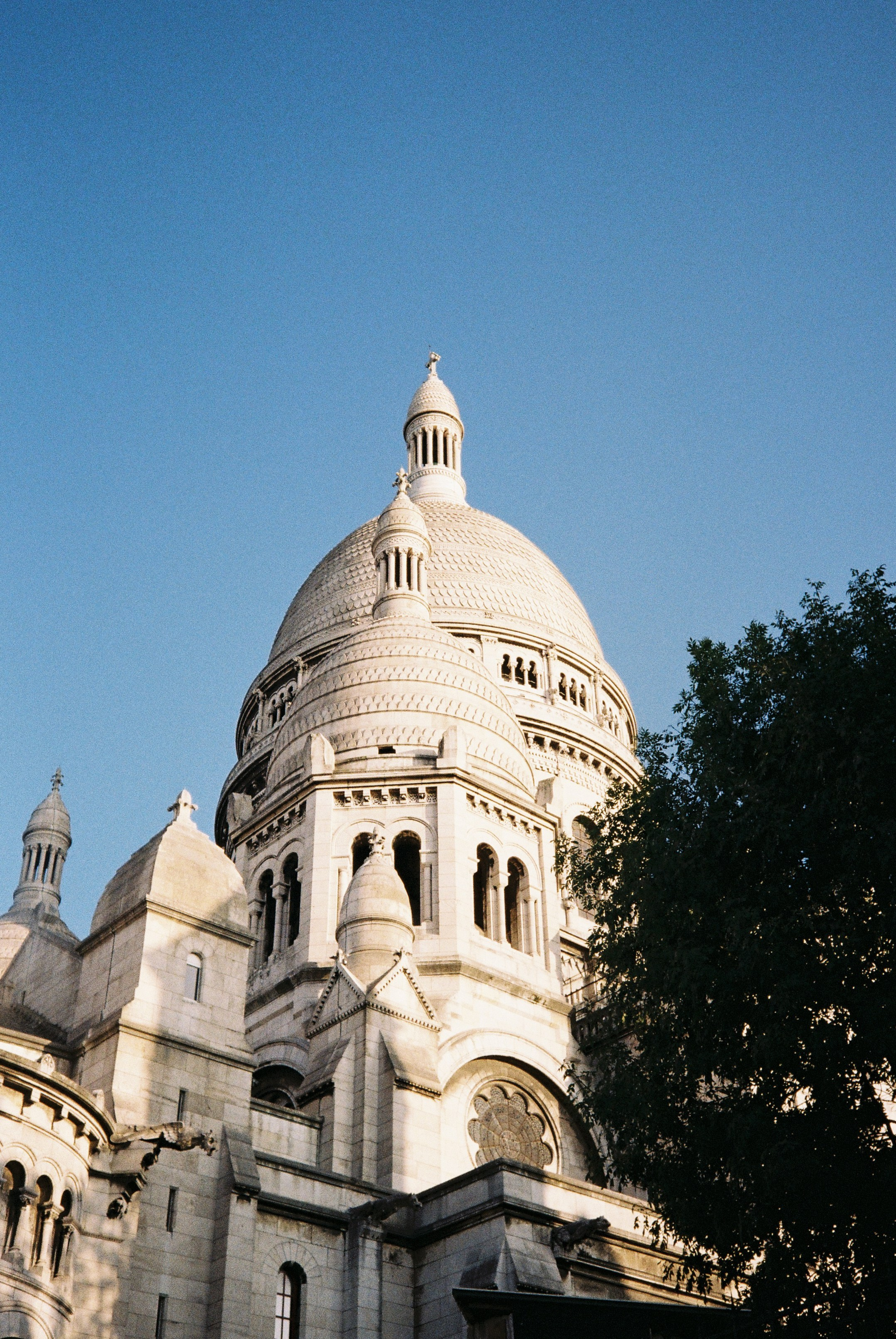 Пленка. Свадебный, репортажный и семейный фотограф в Москве Арина Зак