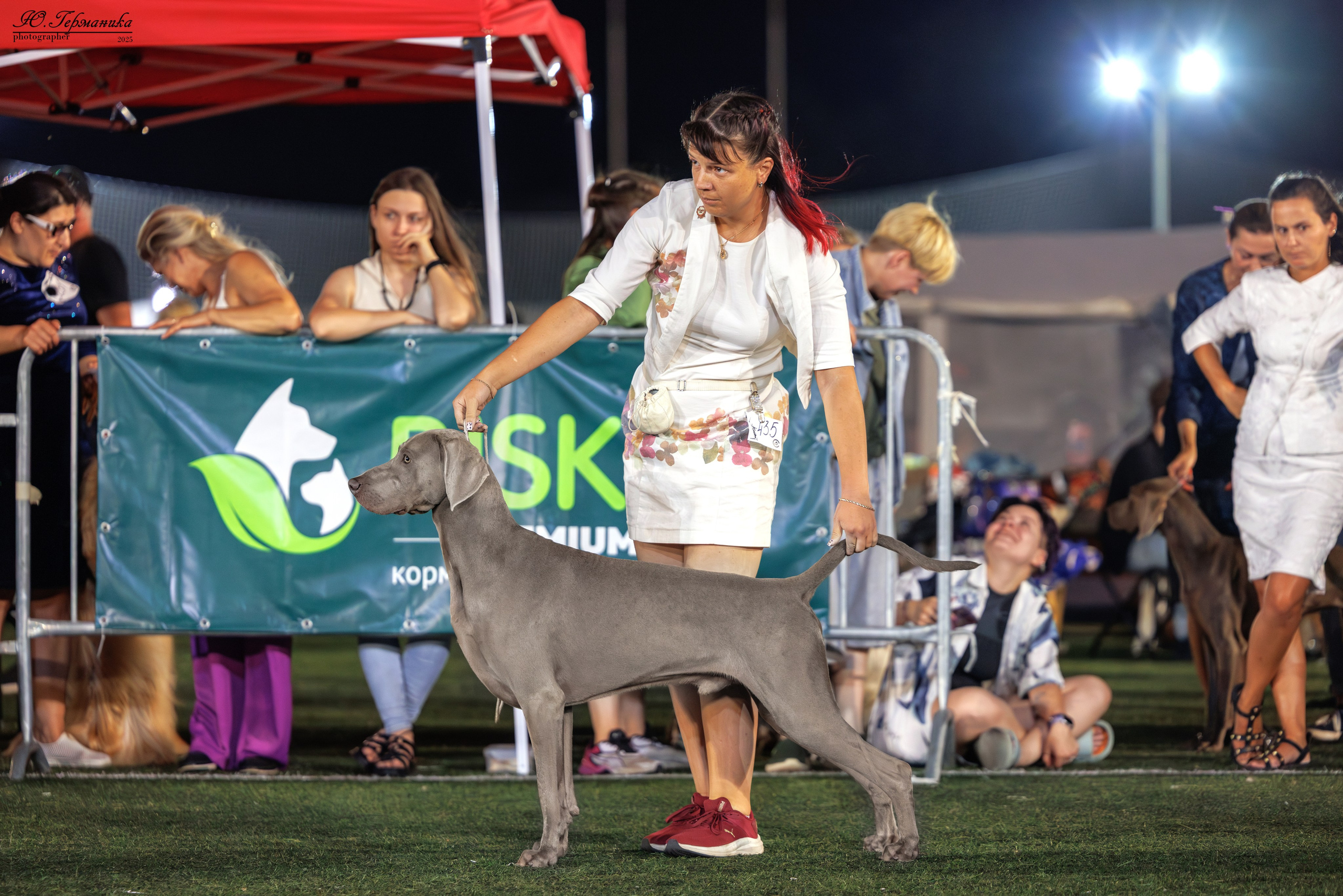 Калининград 25-27.07 Волгоград 1-3.08 2025. Фотограф-анималист Юлия Германика