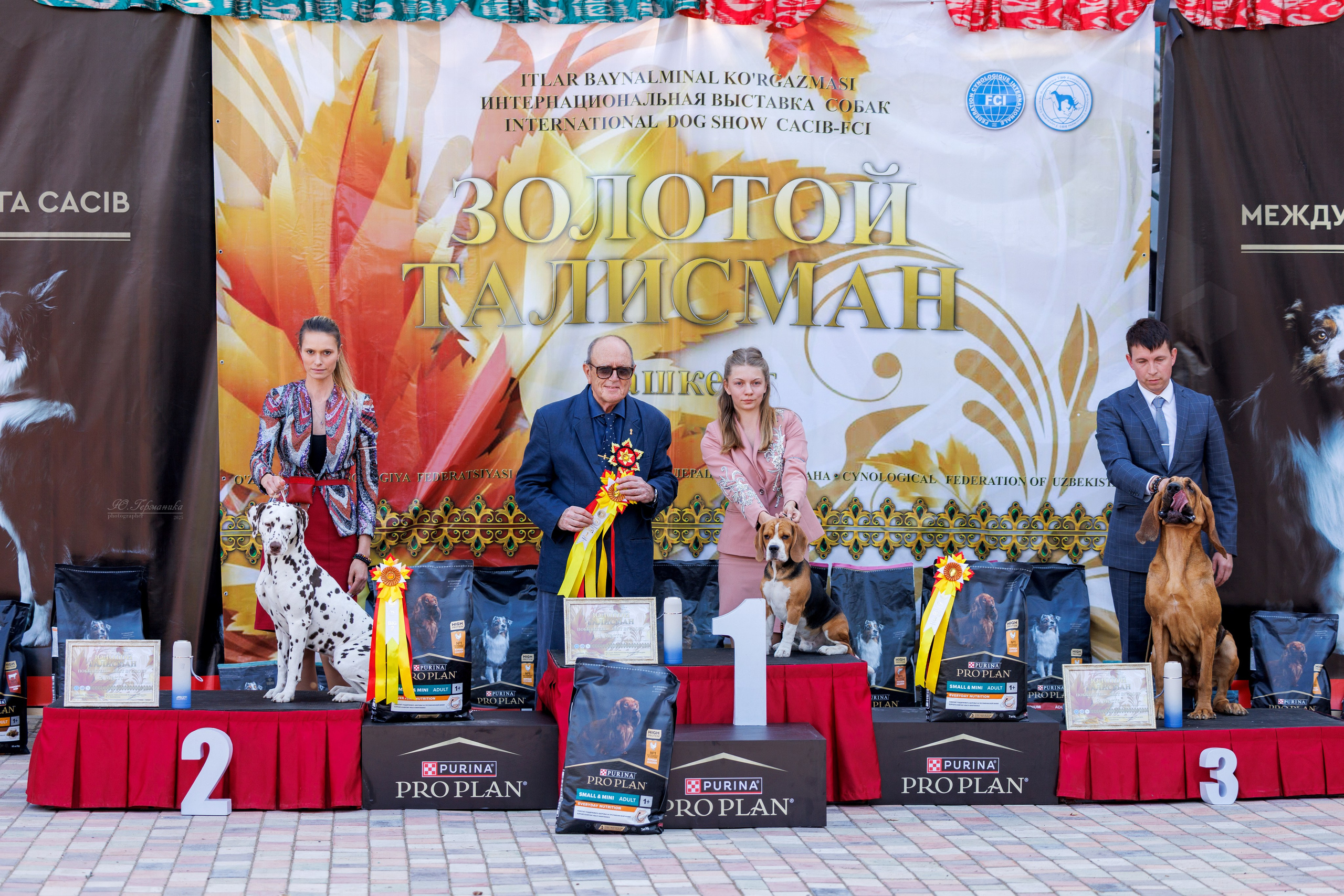 Ташкент 3хCACIB 3-5.10.2025. Фотограф-анималист Юлия Германика