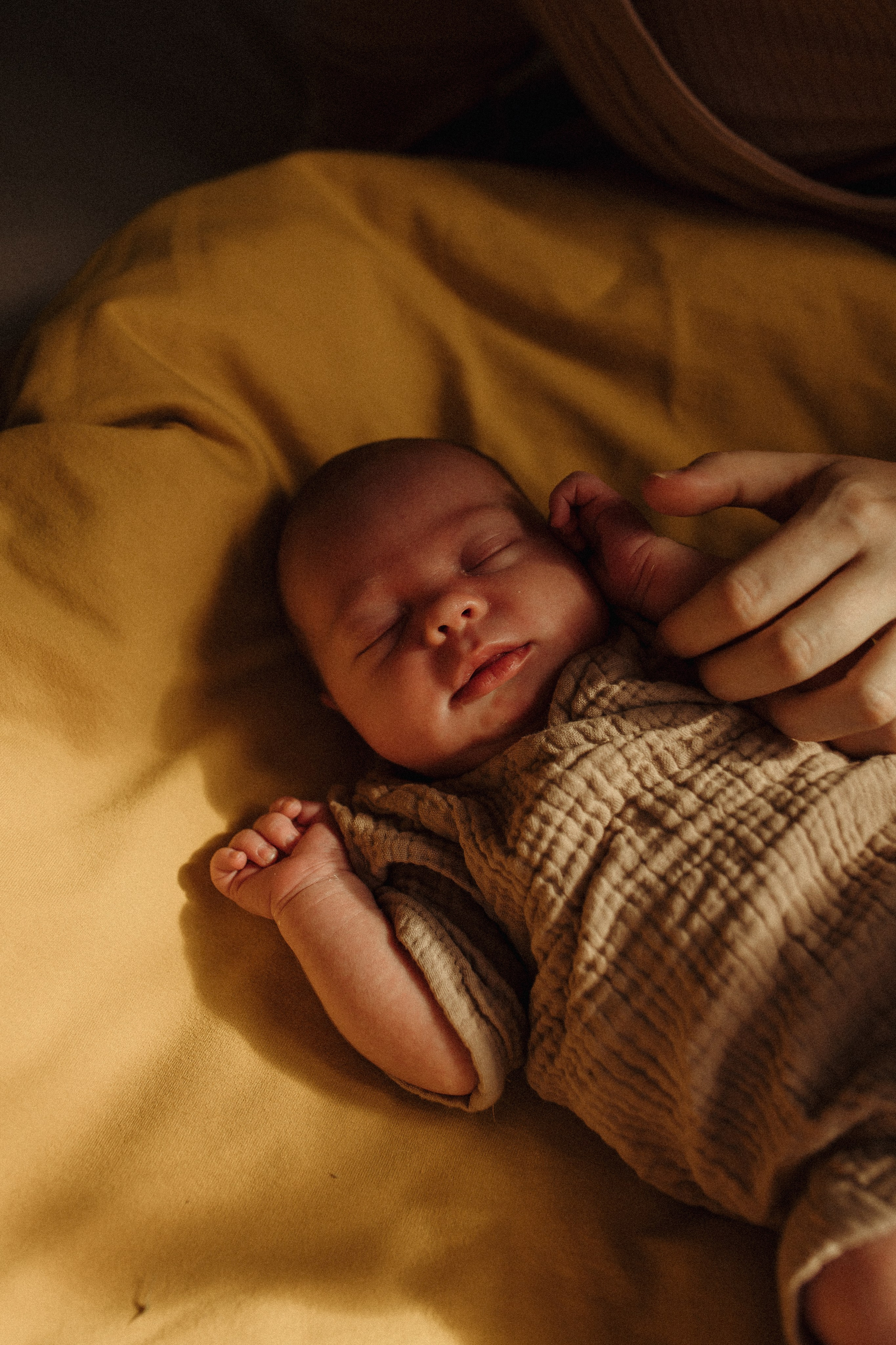 Варенька. Семейный и Свадебный фотограф в Санкт-Петербурге Плохая Екатерина