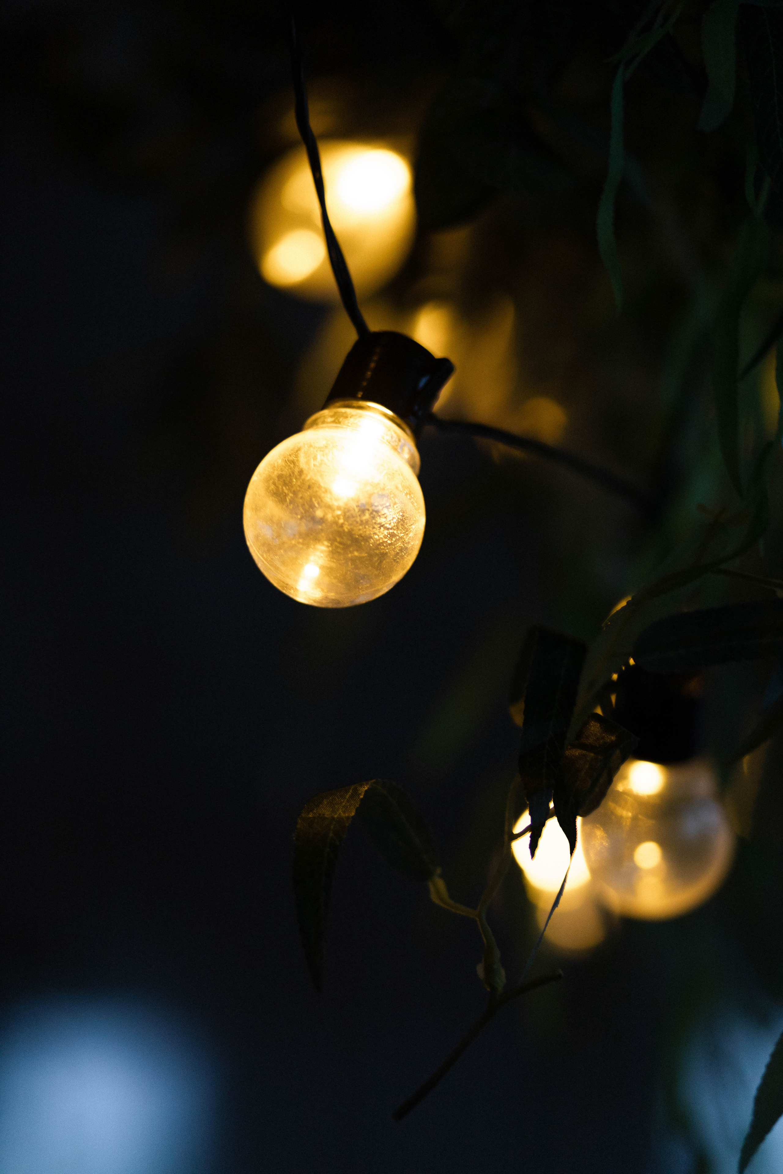 Валерия и Евгений. Фотограф Дубровская Виктория