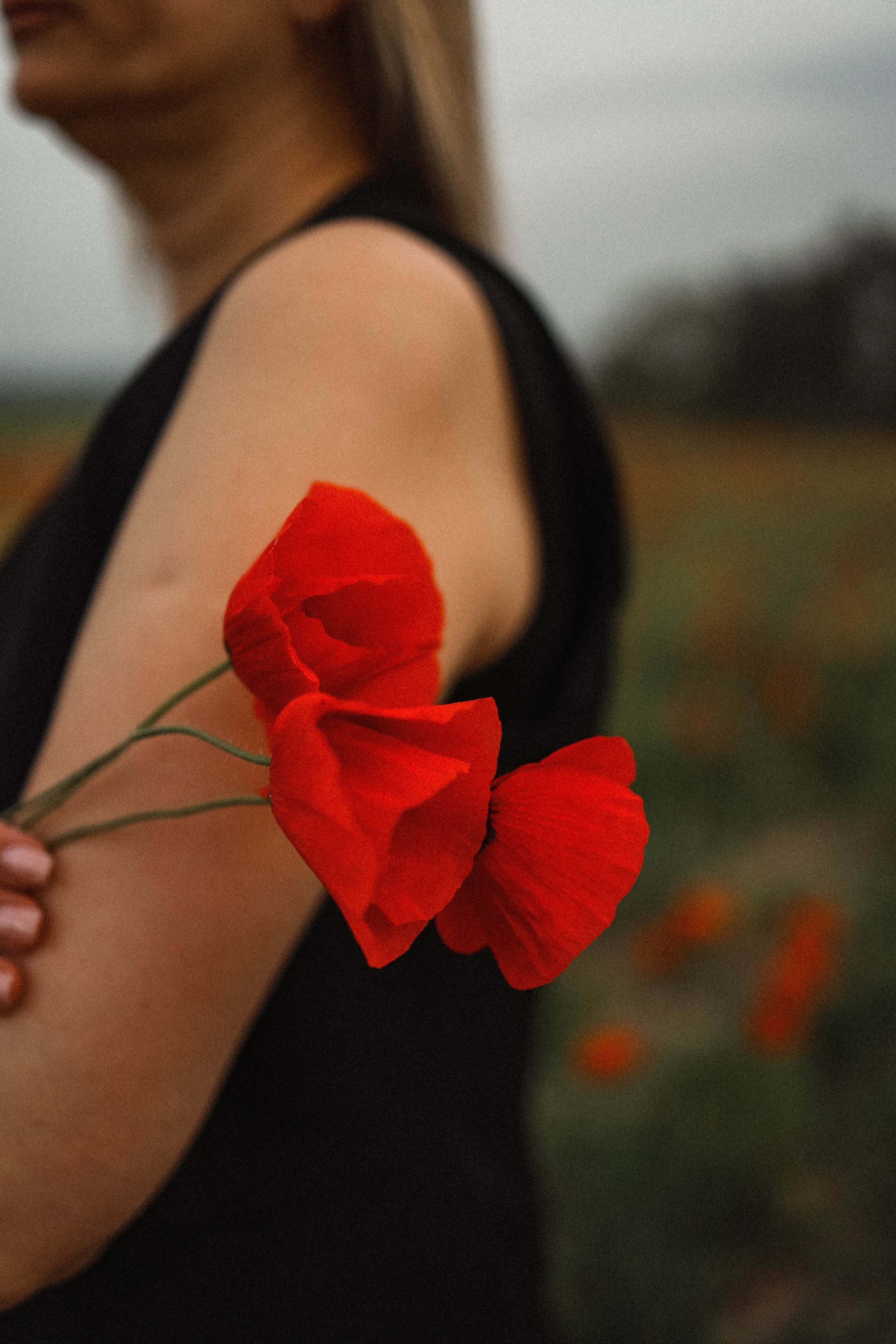 Маки. Фотограф Немазенко Ольга