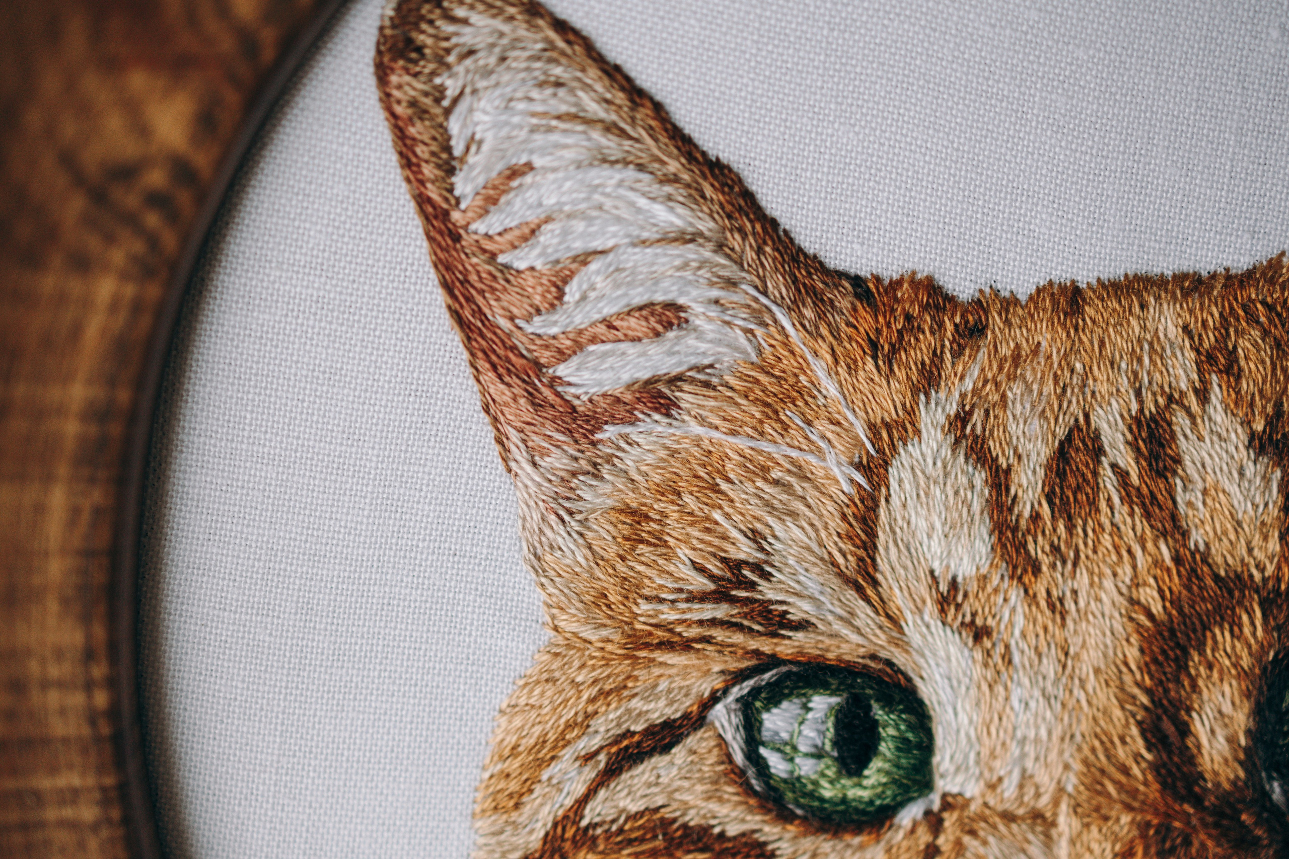 Портфолио. Портретная вышивка питомцев