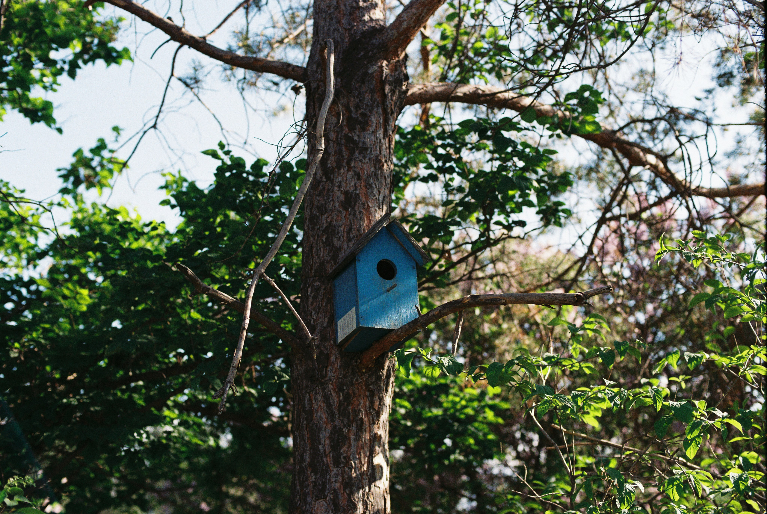 Ботанический сад, апрель 2026. Репортажный и портретный фотограф в Алматы — Дарья Фёдорова