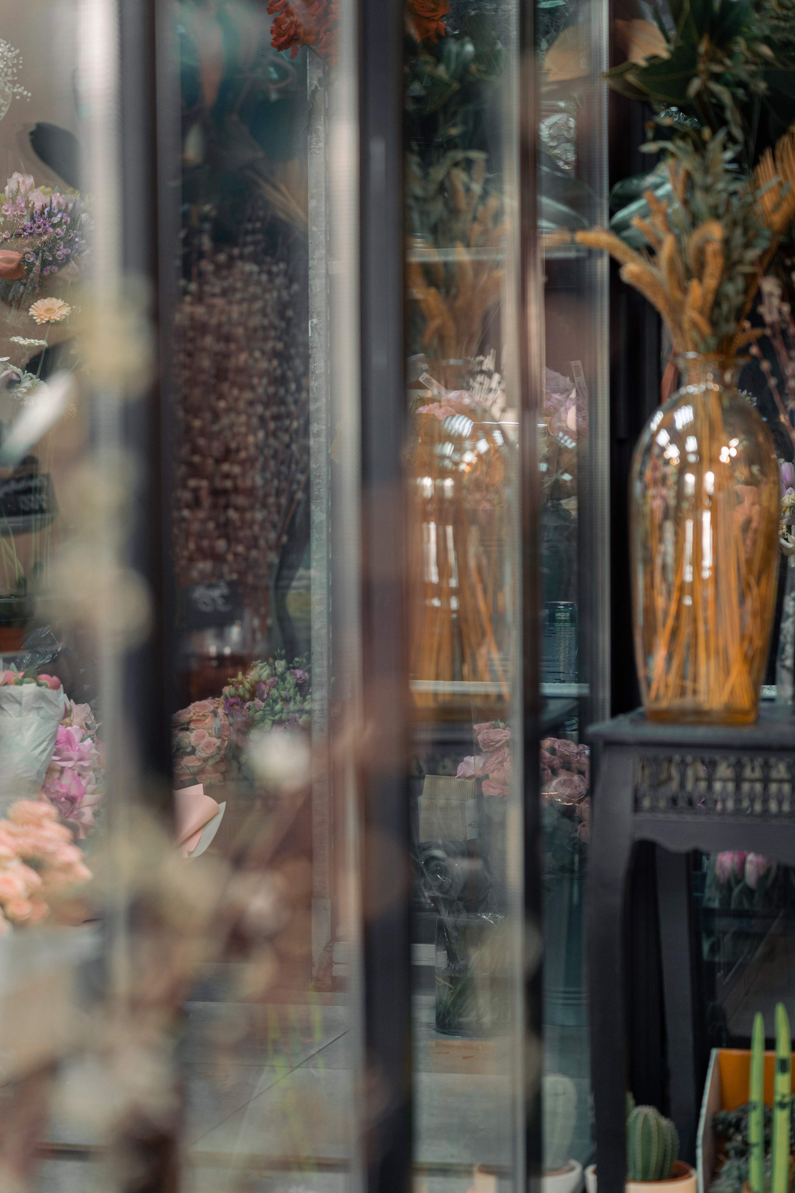 Регион холод. Елена Пашкевич, фотограф, Москва