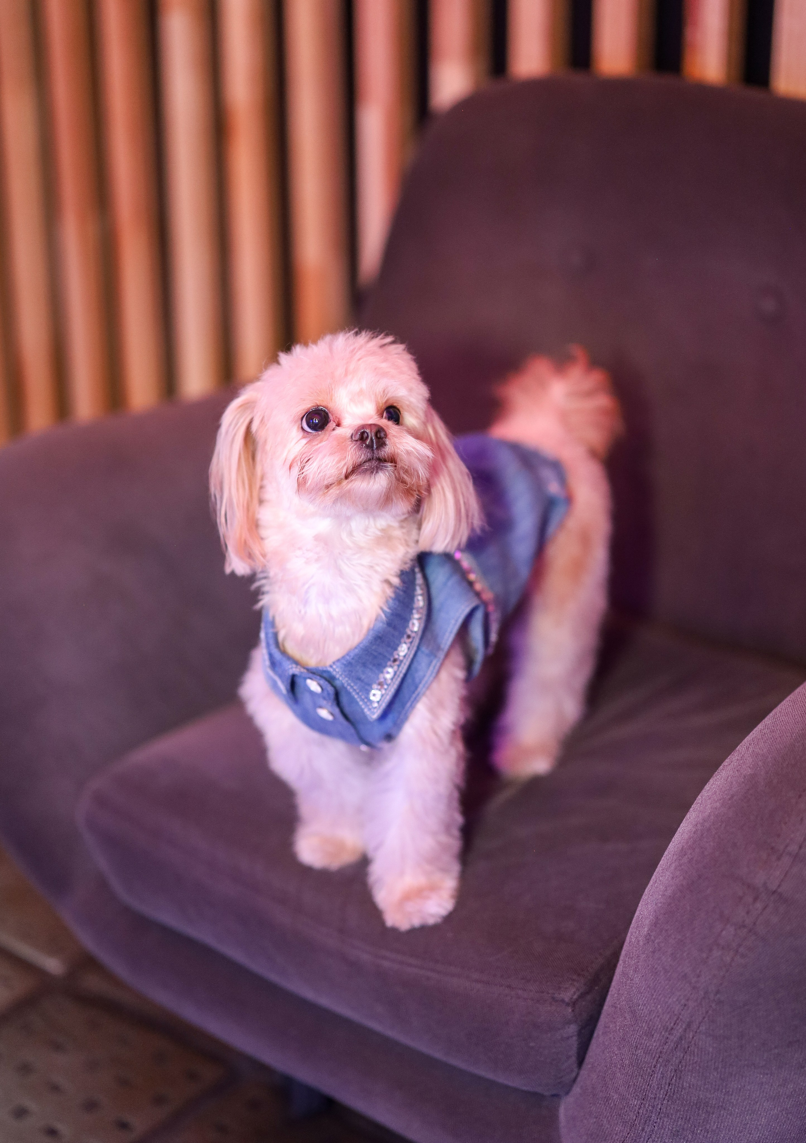 ДЕНЬ РОЖДЕНИЯ СОФИИ В UPLINE SPACE. Фотограф мероприятий Ирина Каширина