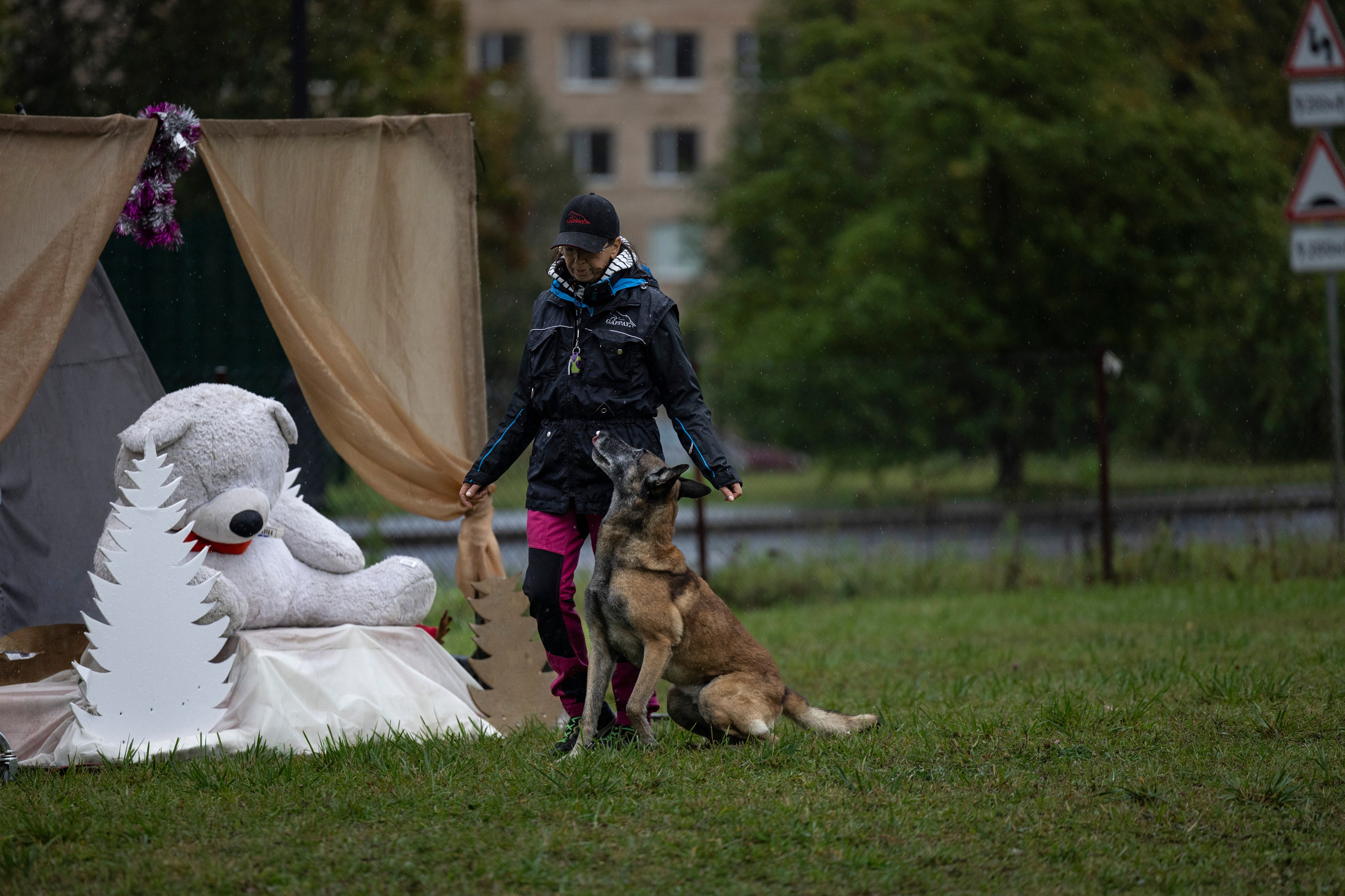 Испытания по Мондьорингу г. Пушкин. Фотограф-анималист Анна Маринич