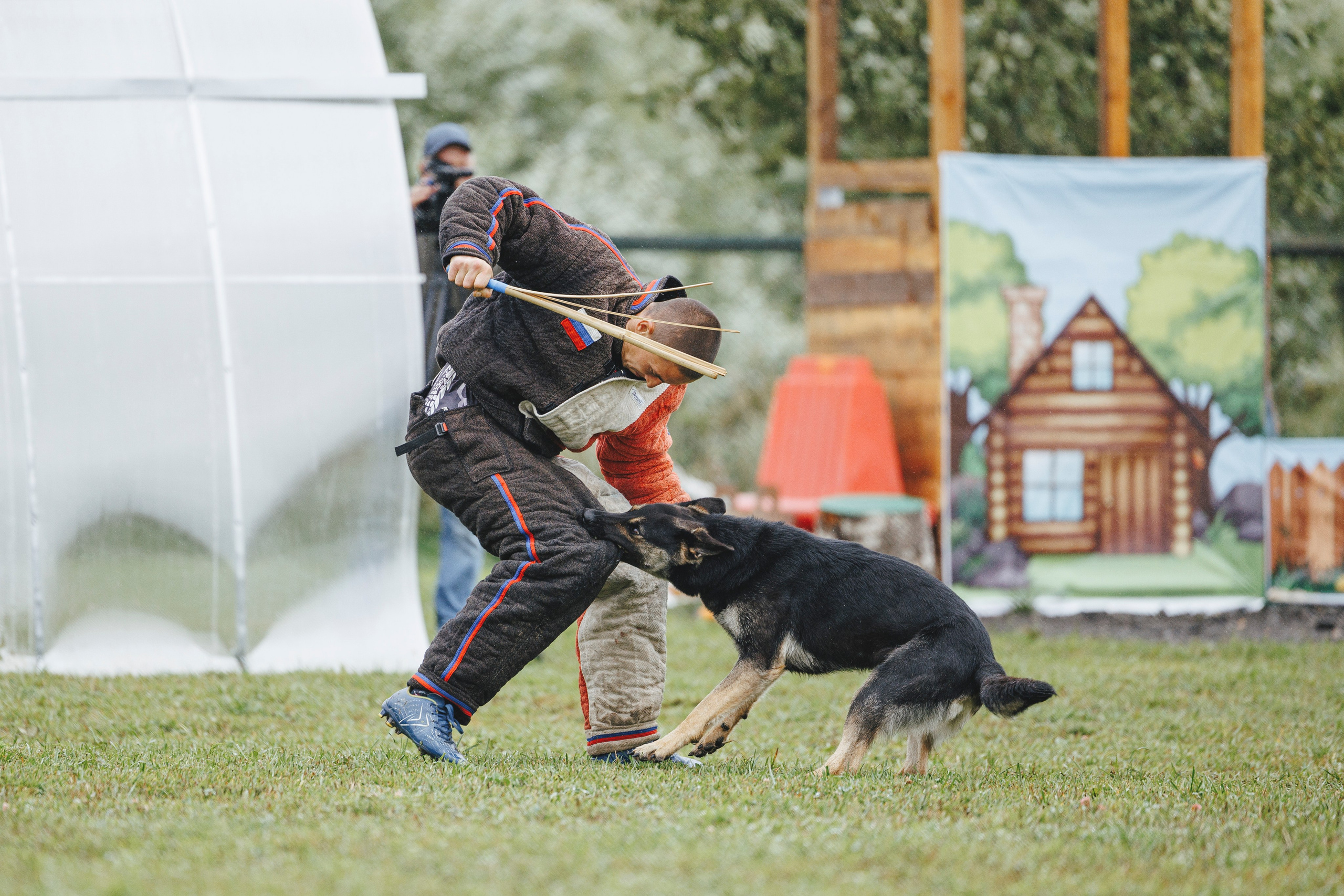 08.08.25-10.08.25 ЧР по мондьорингу г. Вологда. Фотограф-анималист Анна Маринич