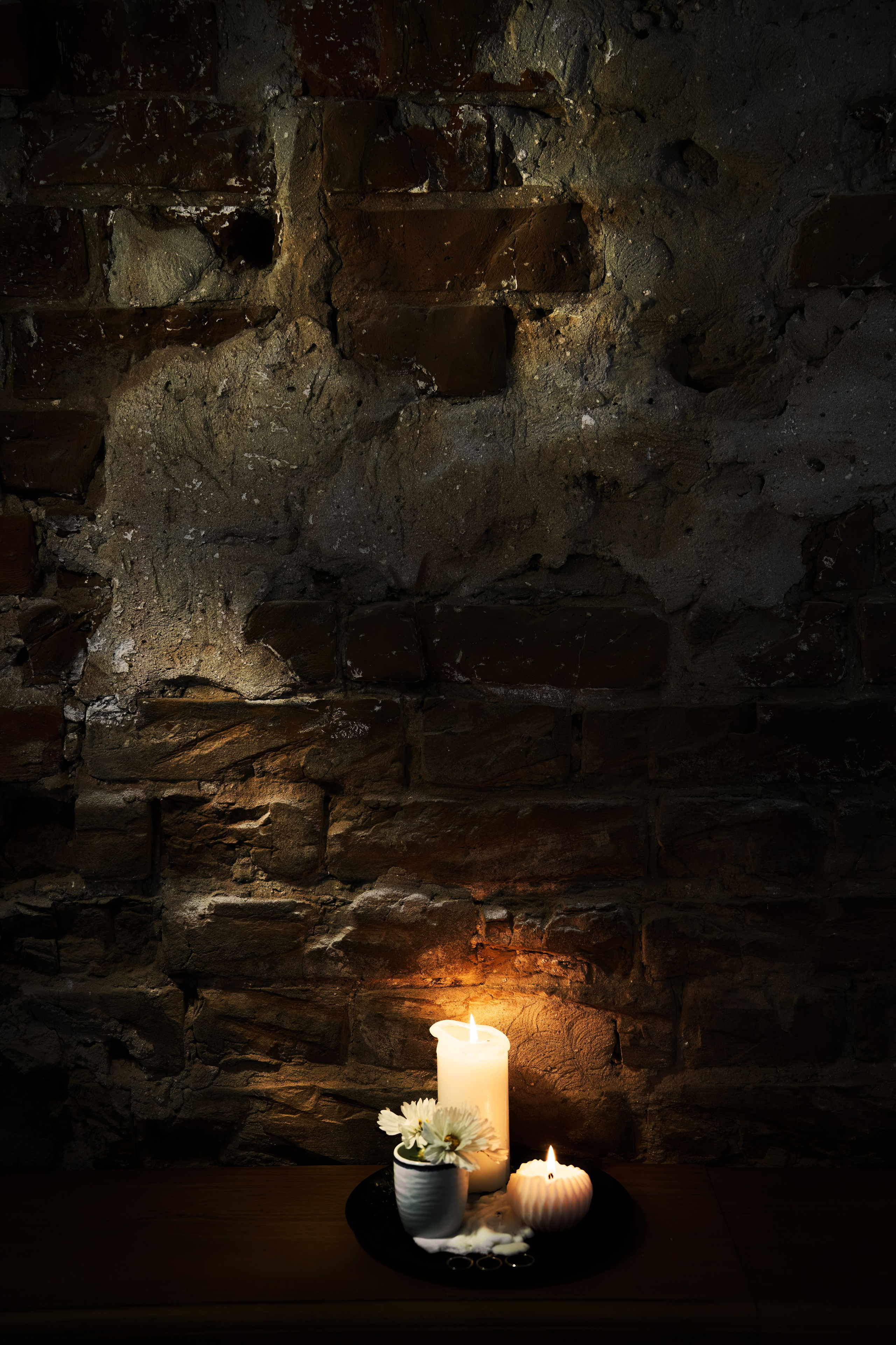 Дмитрий и Ксения. Свадебный фотограф в Барнауле Четошникова Анна