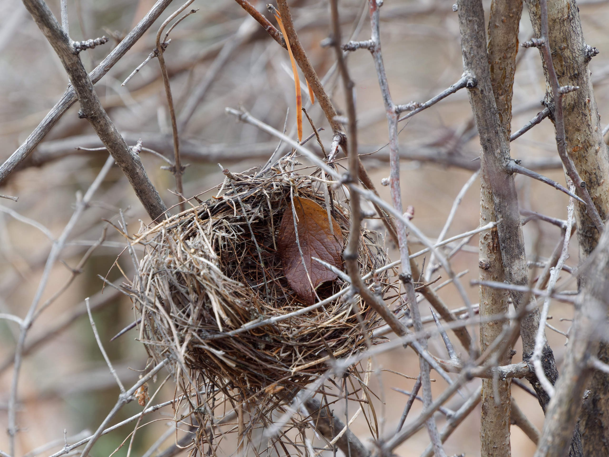 Боровое 2023 (из архива). Избранные фотографии