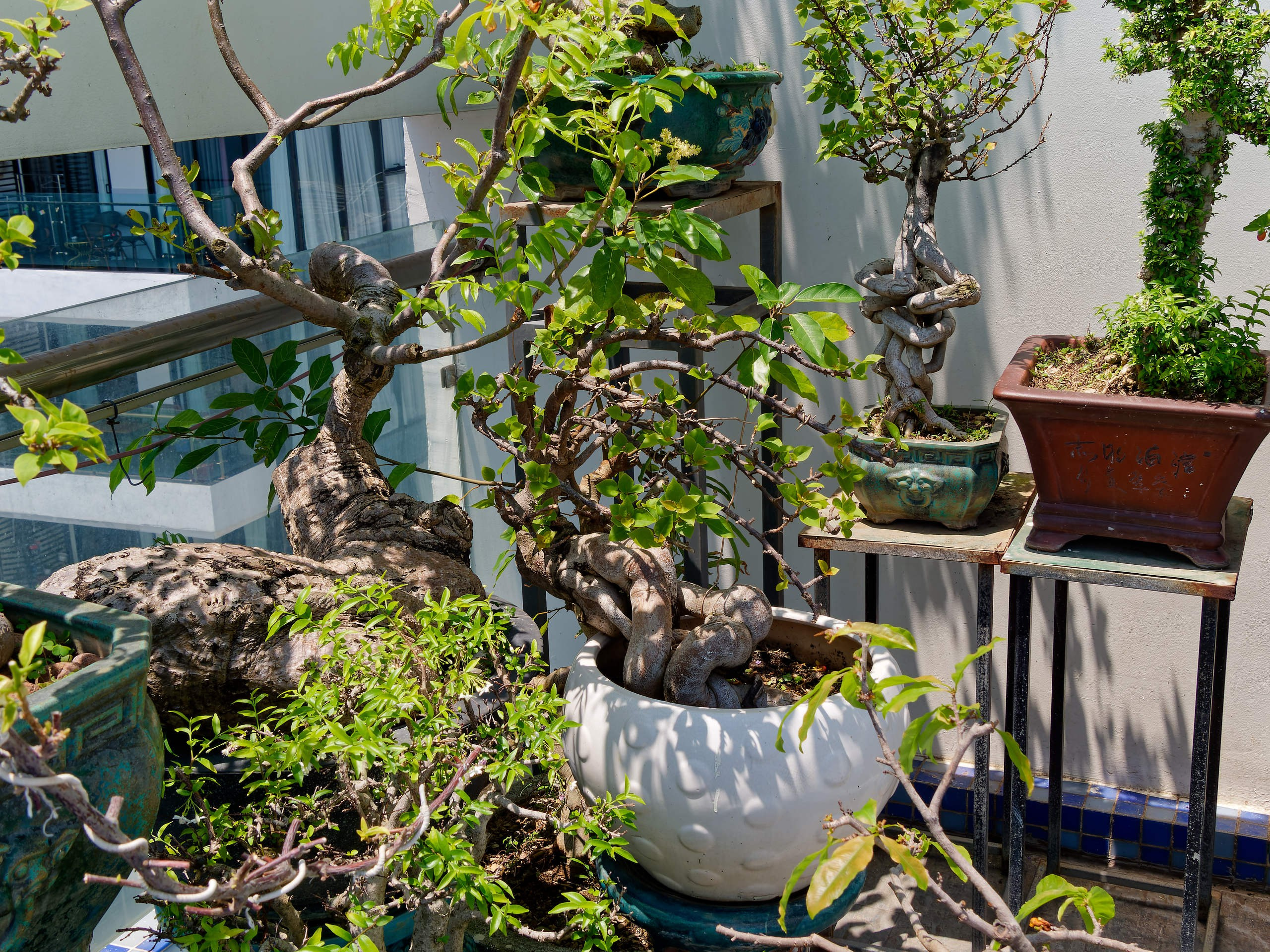 Нячанг 2025 (2). Избранные фотографии