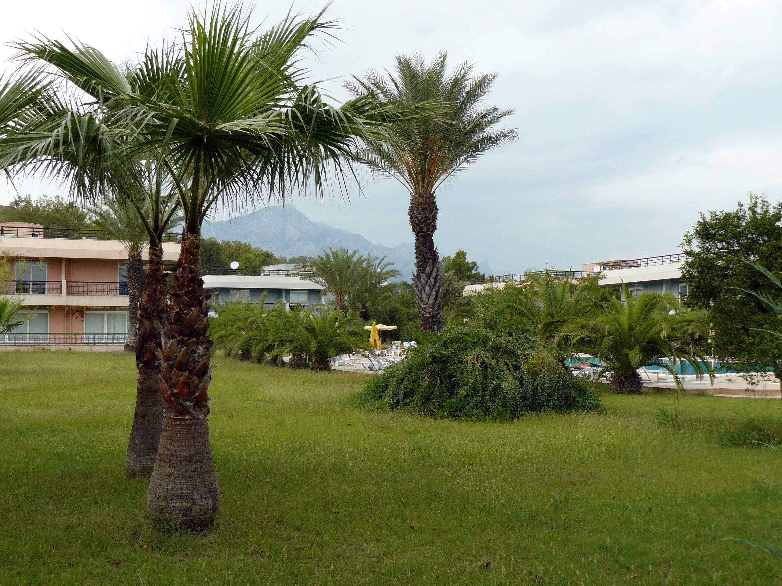 Кемер, Чамьюва 2008. Избранные фотографии