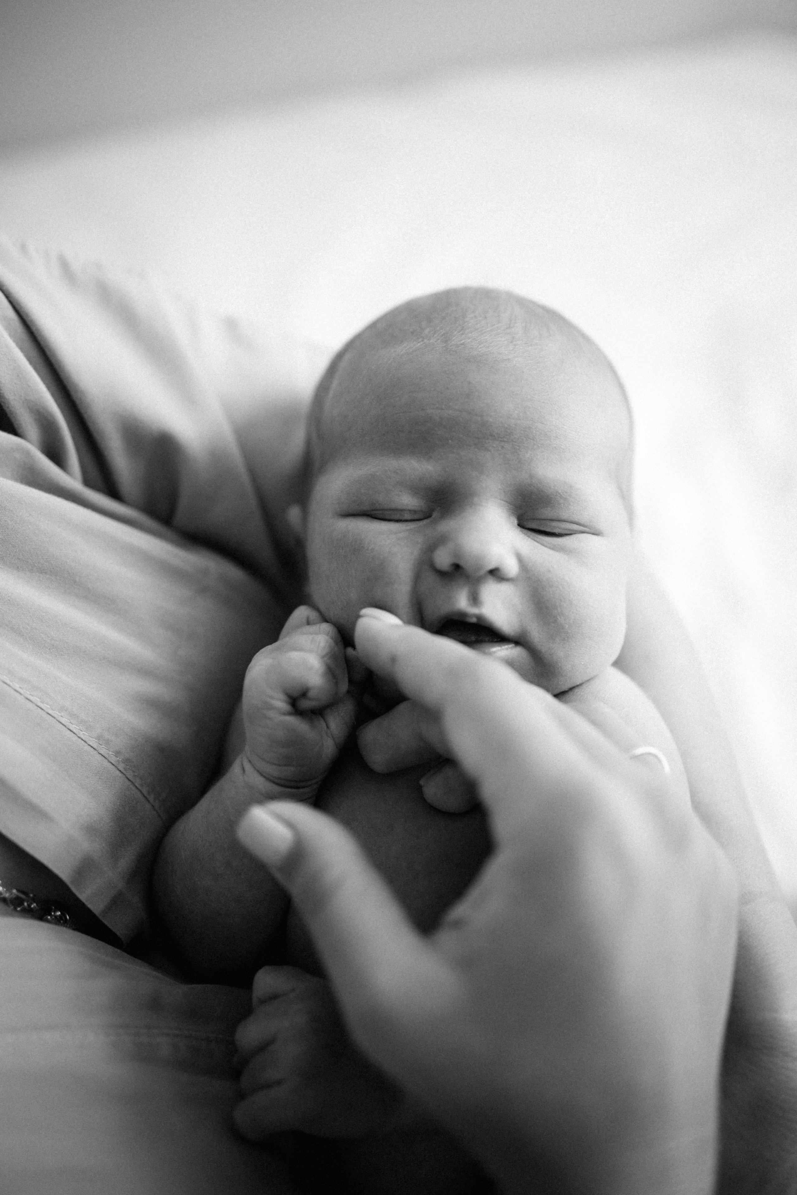 Домашние. Главная