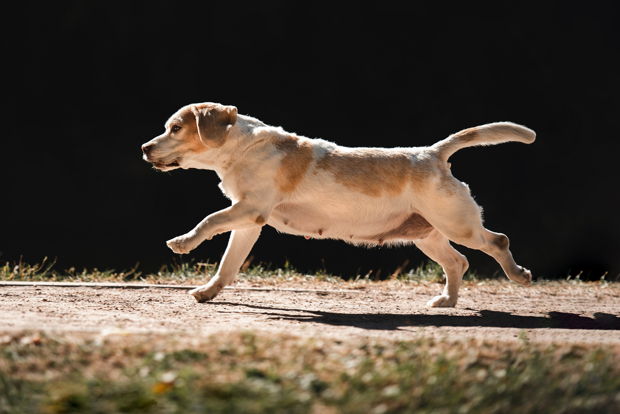 Оля и Ника. Семейный Фотограф в Москве Ирина Хохлова