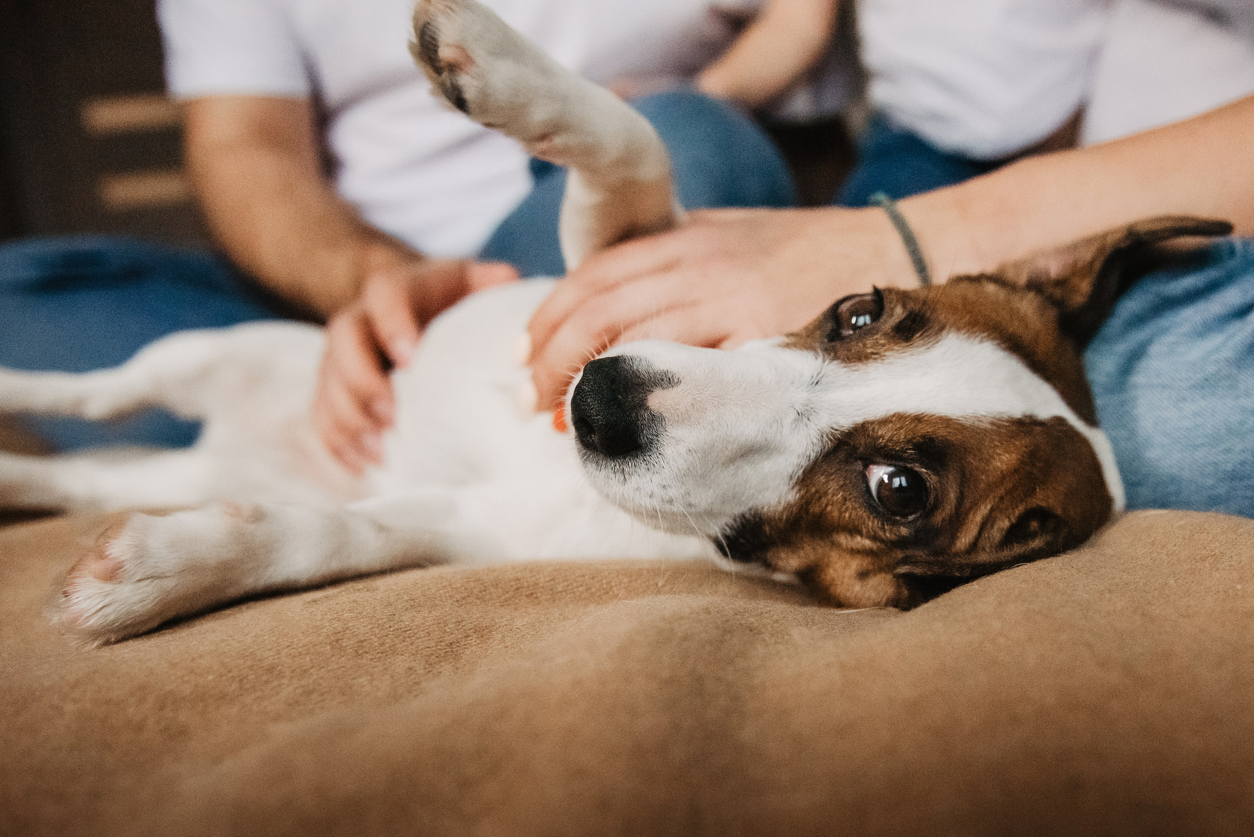 Братик или сестричка?. Семейный Фотограф в Москве Ирина Хохлова