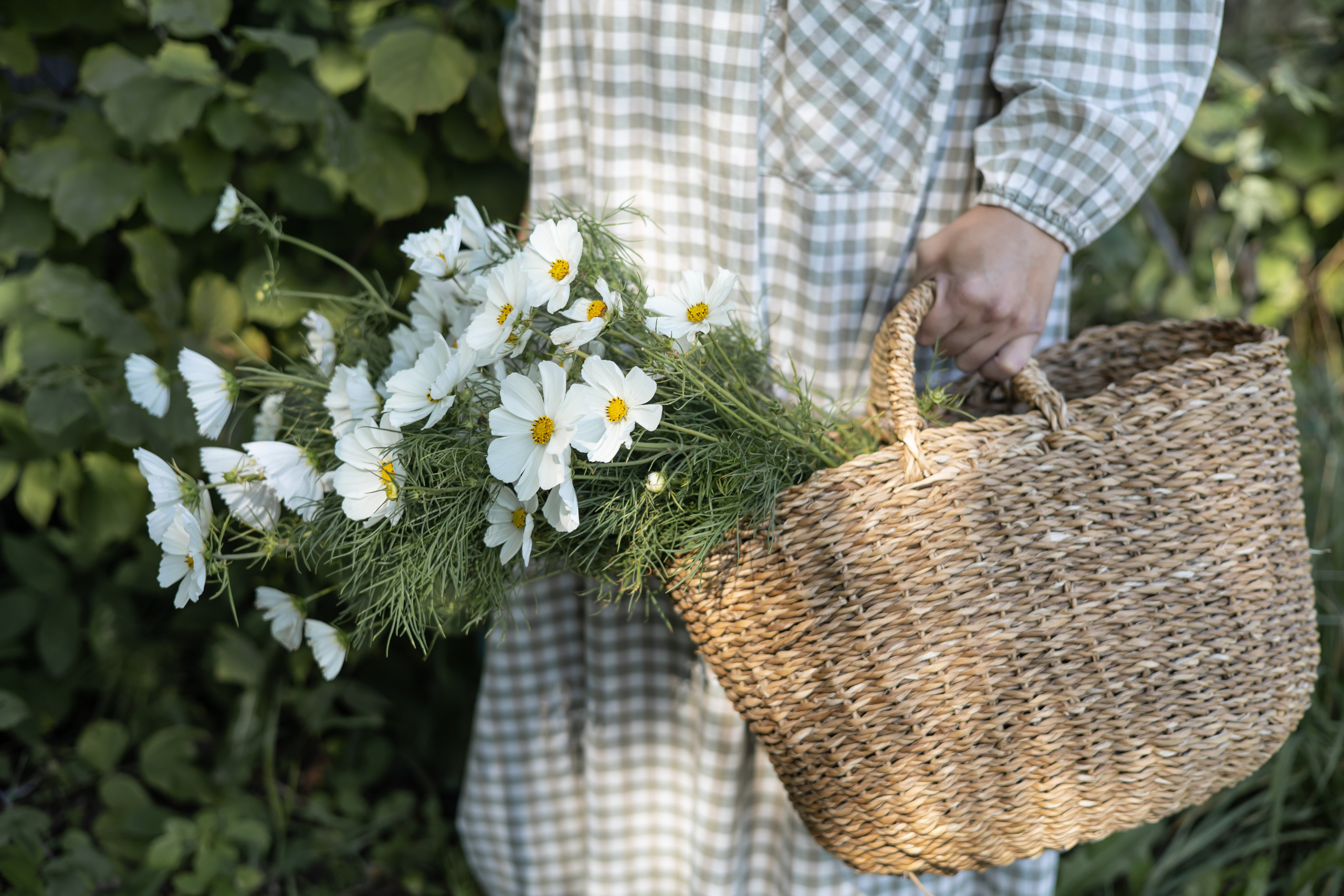 ДИНИЯ. Фотограф Элла Ефимова