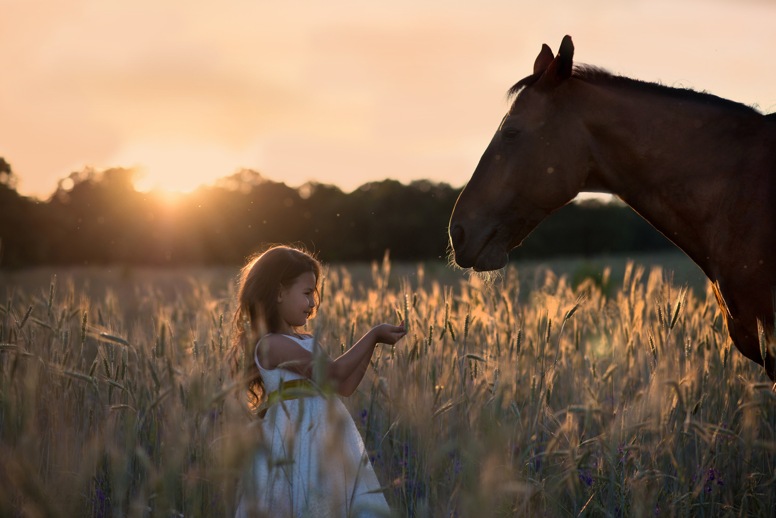 Дети и лошади. Конный фотограф в Саратове Юлия Иванова