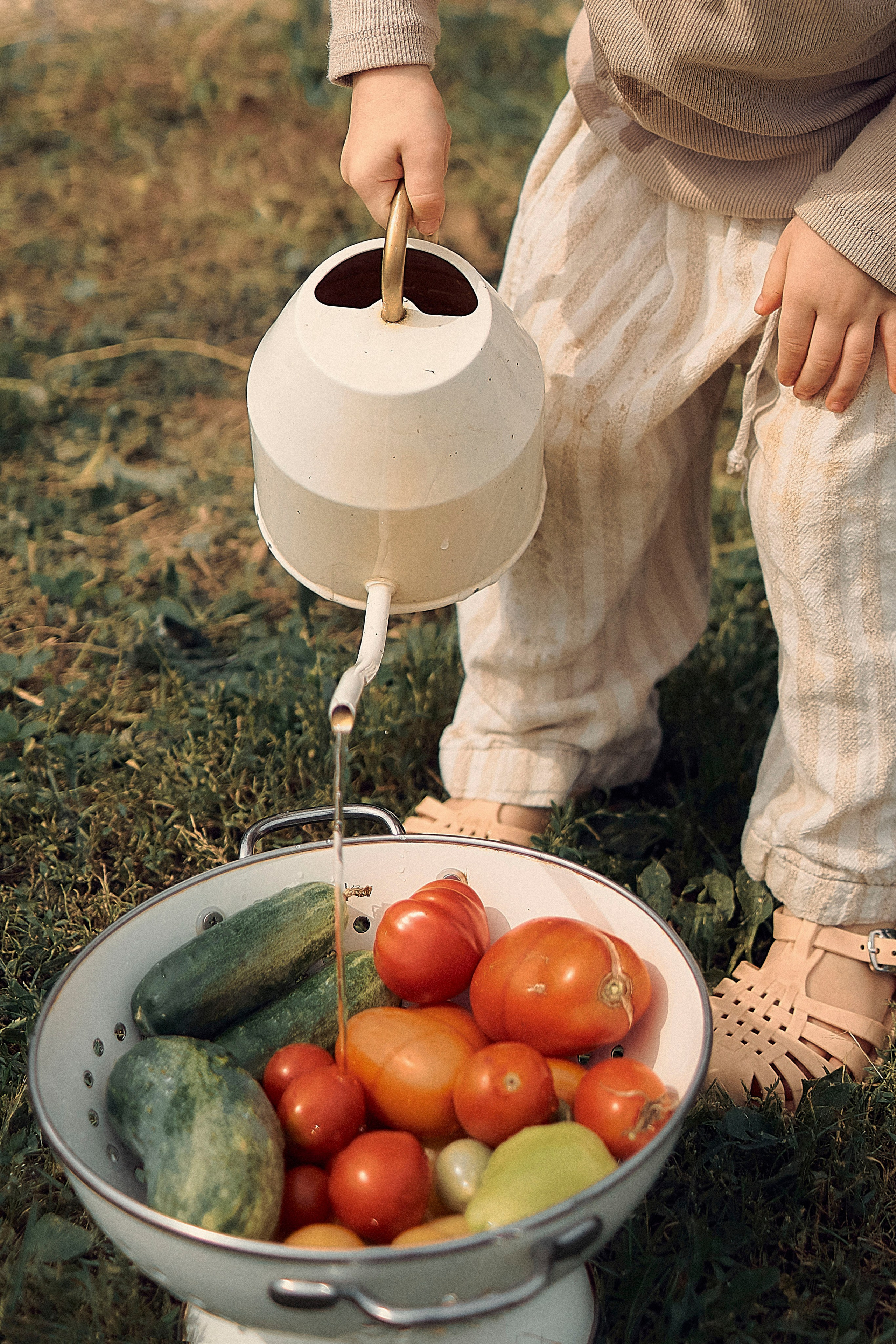 Портфолио. Edomaphoto.ru