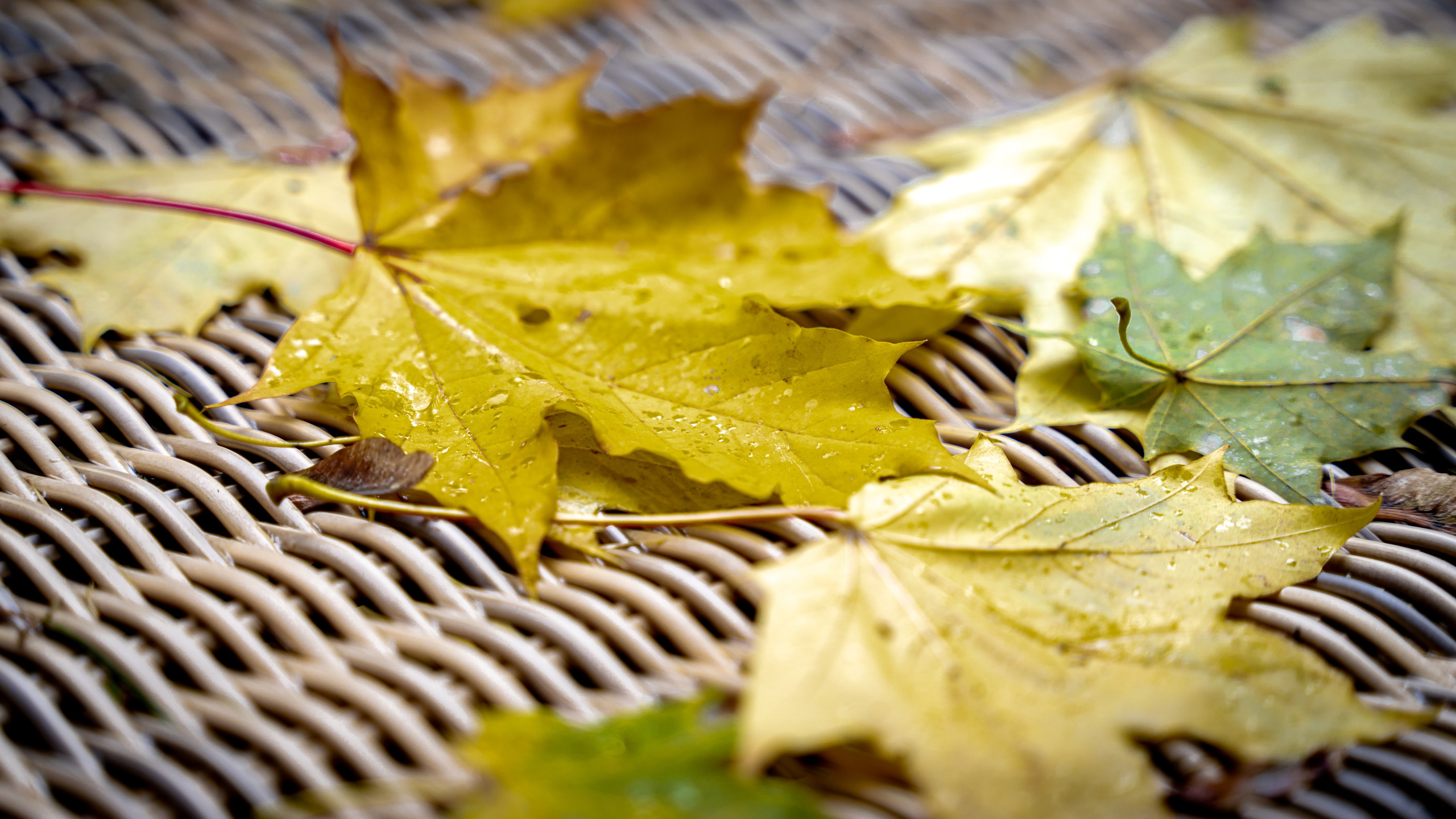 Архангельское. ПОБУДЬ ЗДЕСЬ И ЦЕЛЕЕ БУДЕТ ЭТОТ МИР