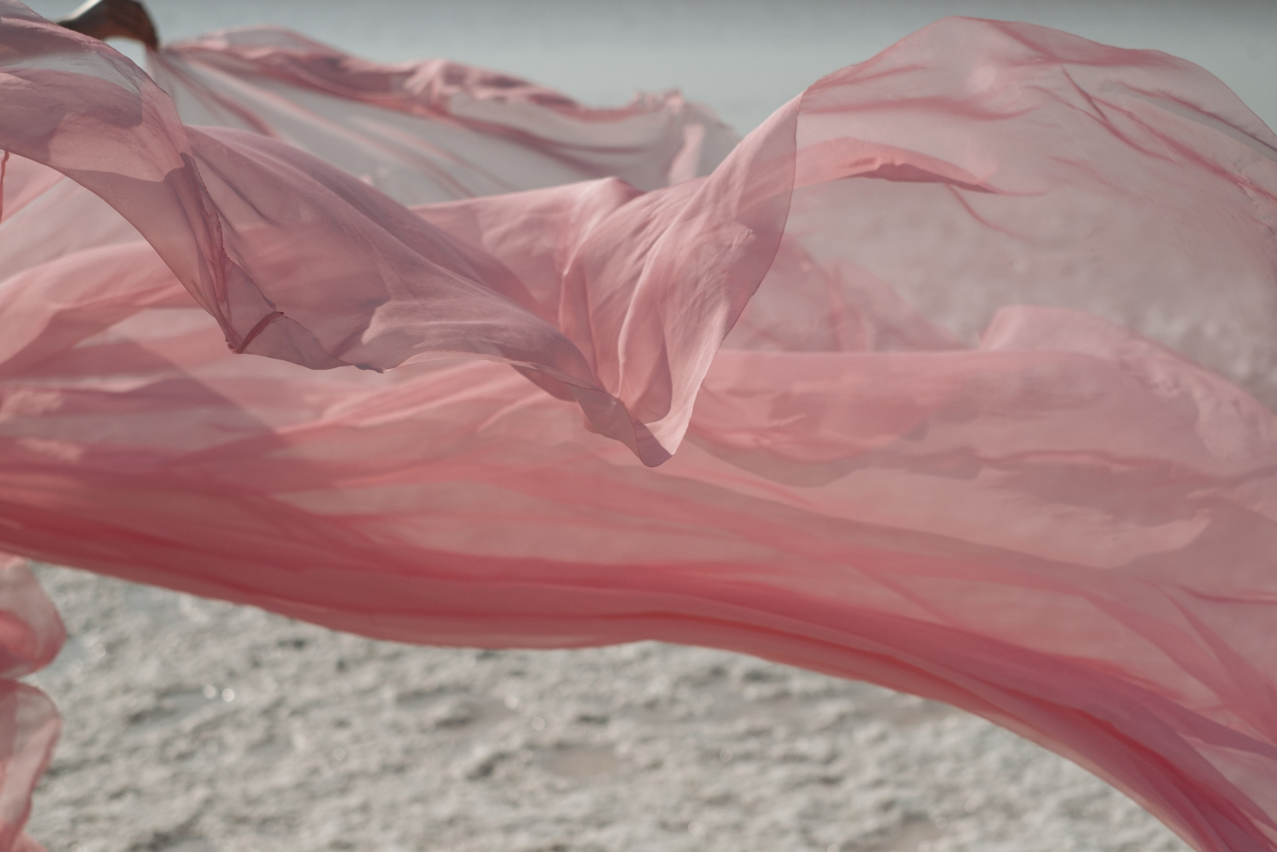 Фотосессия в садах: Персик, лаванда, мак, виноград, подсолнух, ромашка, сирень и др. Профессиональная фотосъемка в Крыму. Натуральные эмоции и живые кадры. Забронируйте дату прямо сейчас!