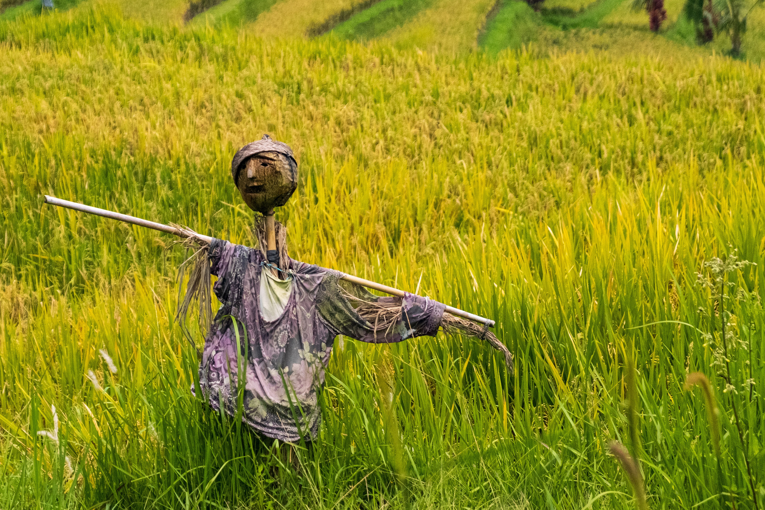 Остров Бали. Фотографии из путешествий