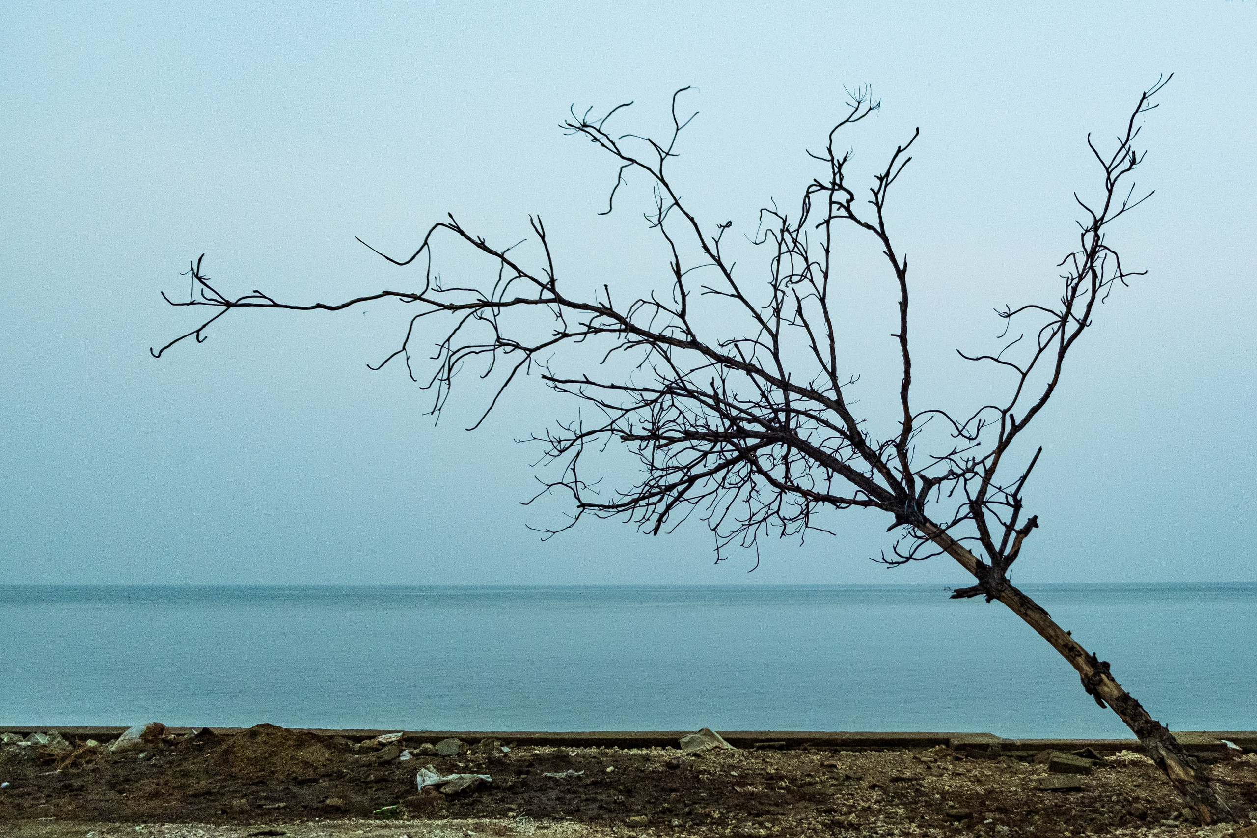 Остров Гили Эйр. Фотографии из путешествий