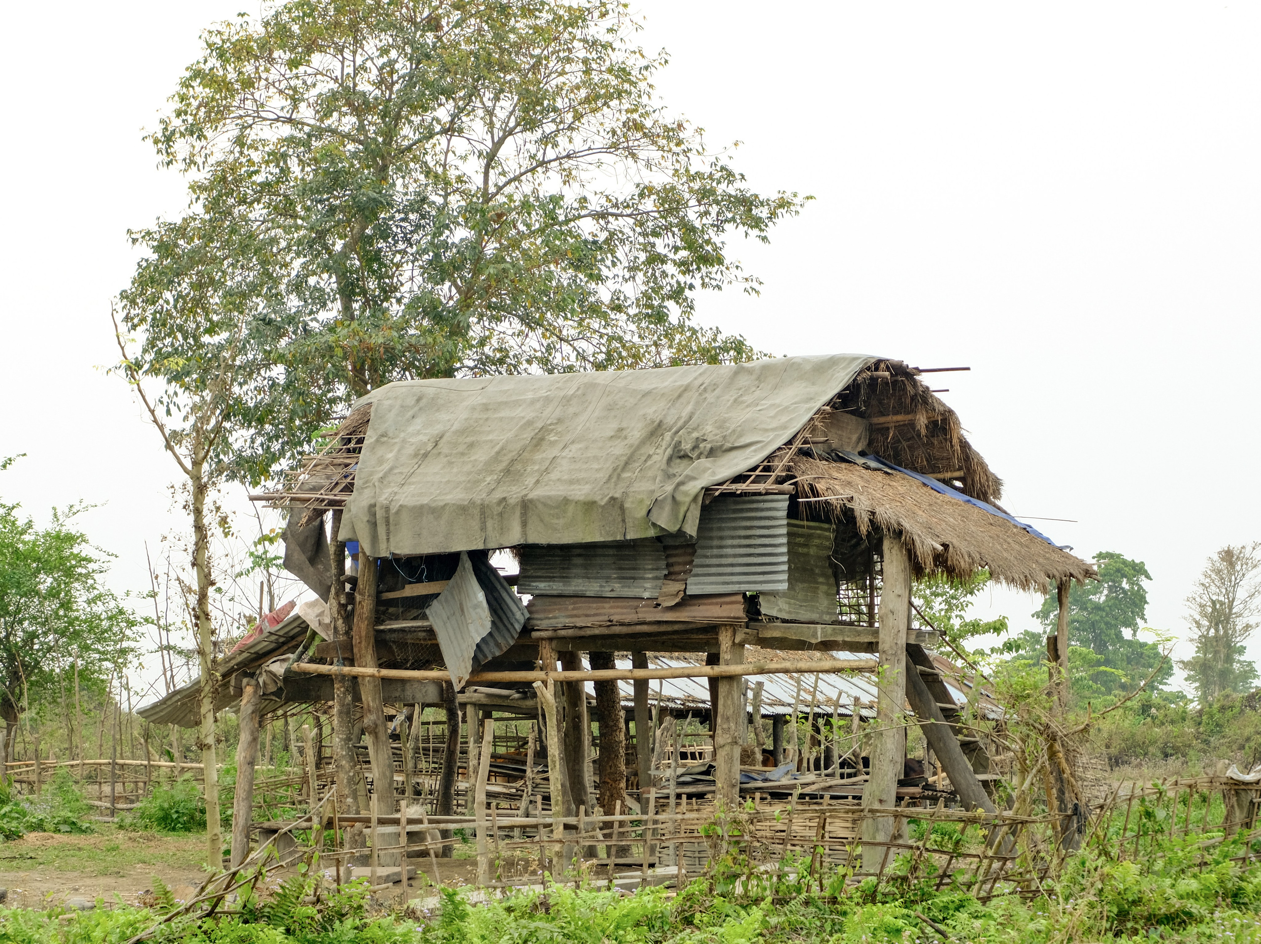 Индия штат Аруначал-Прадеш. Фотографии из путешествий