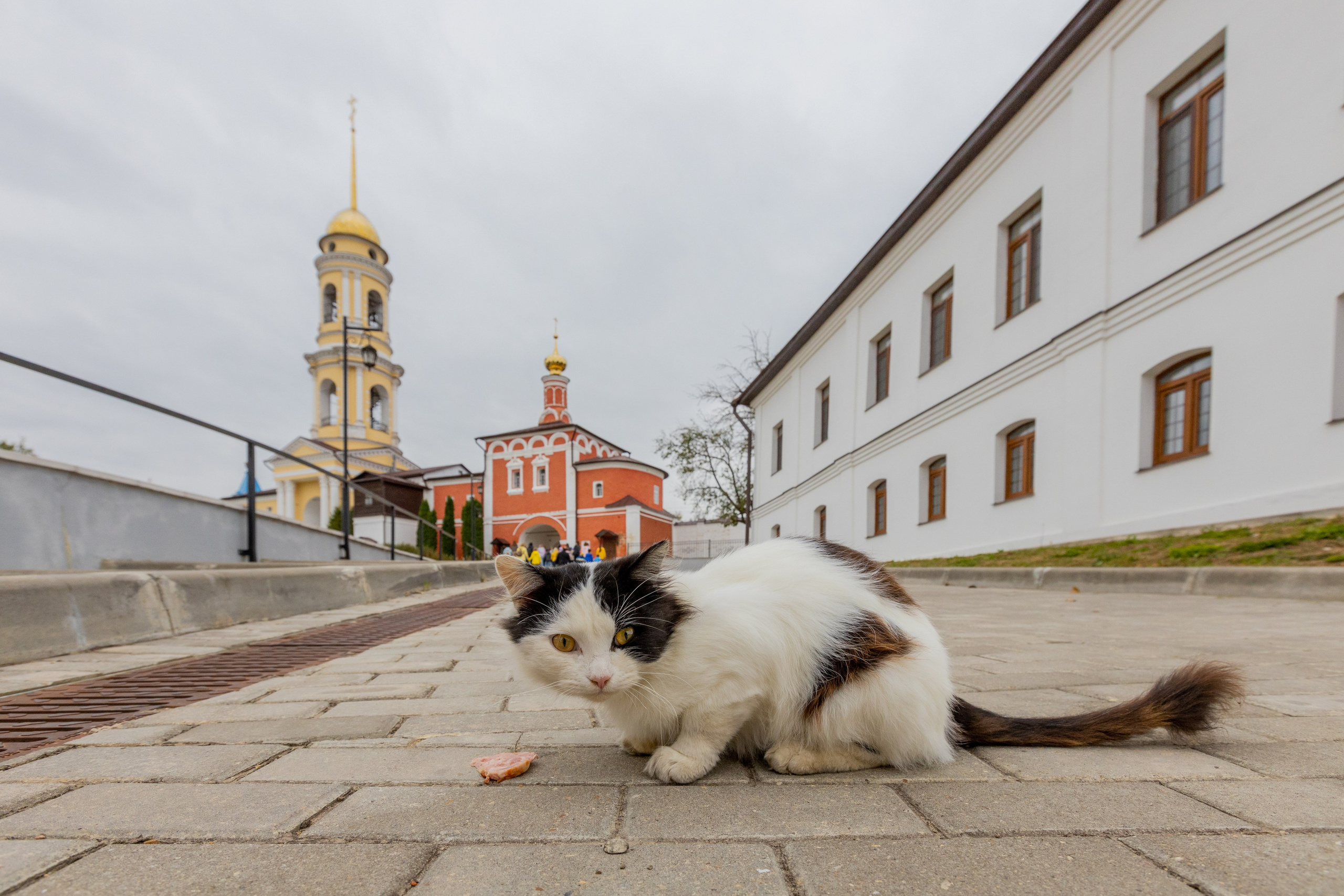 Поездка в Белев и на производство пастилы. Фотограф в Туле Крупский АнДРей. Фотостудия «КАДР71» в Туле