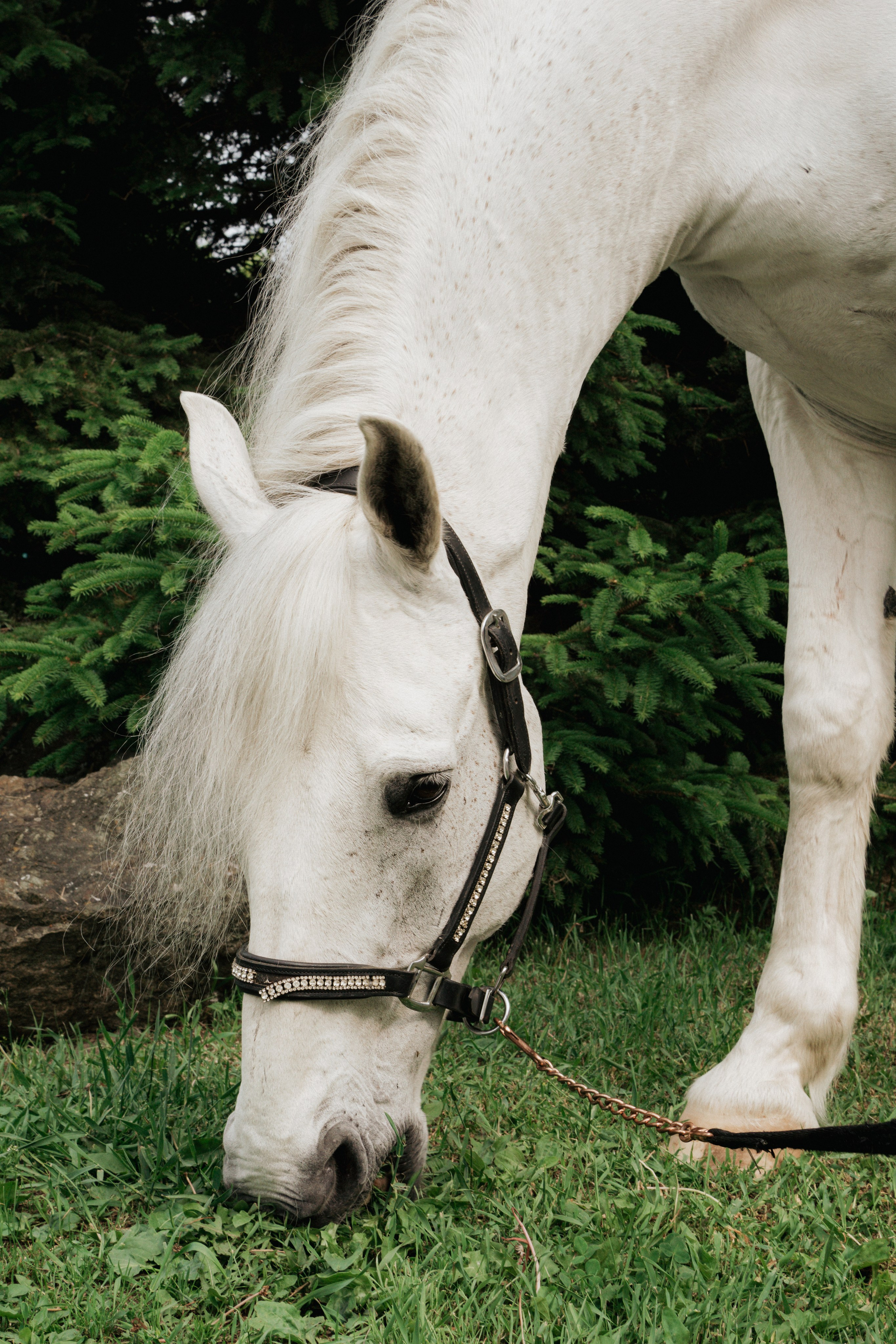 Свадебные съемки. Главная