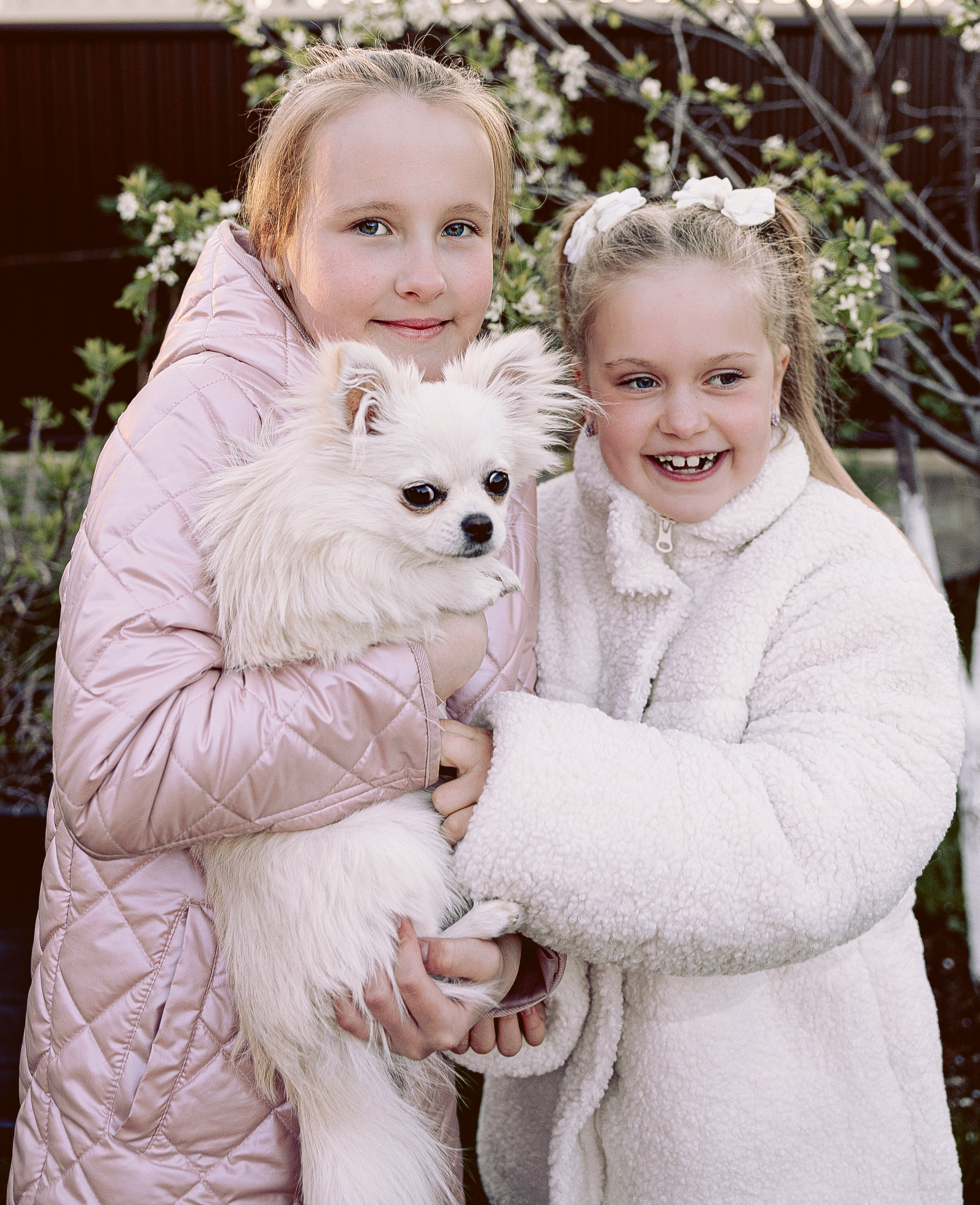 Фотосессия питомцев. Фотограф в Казани Ольга Яшина