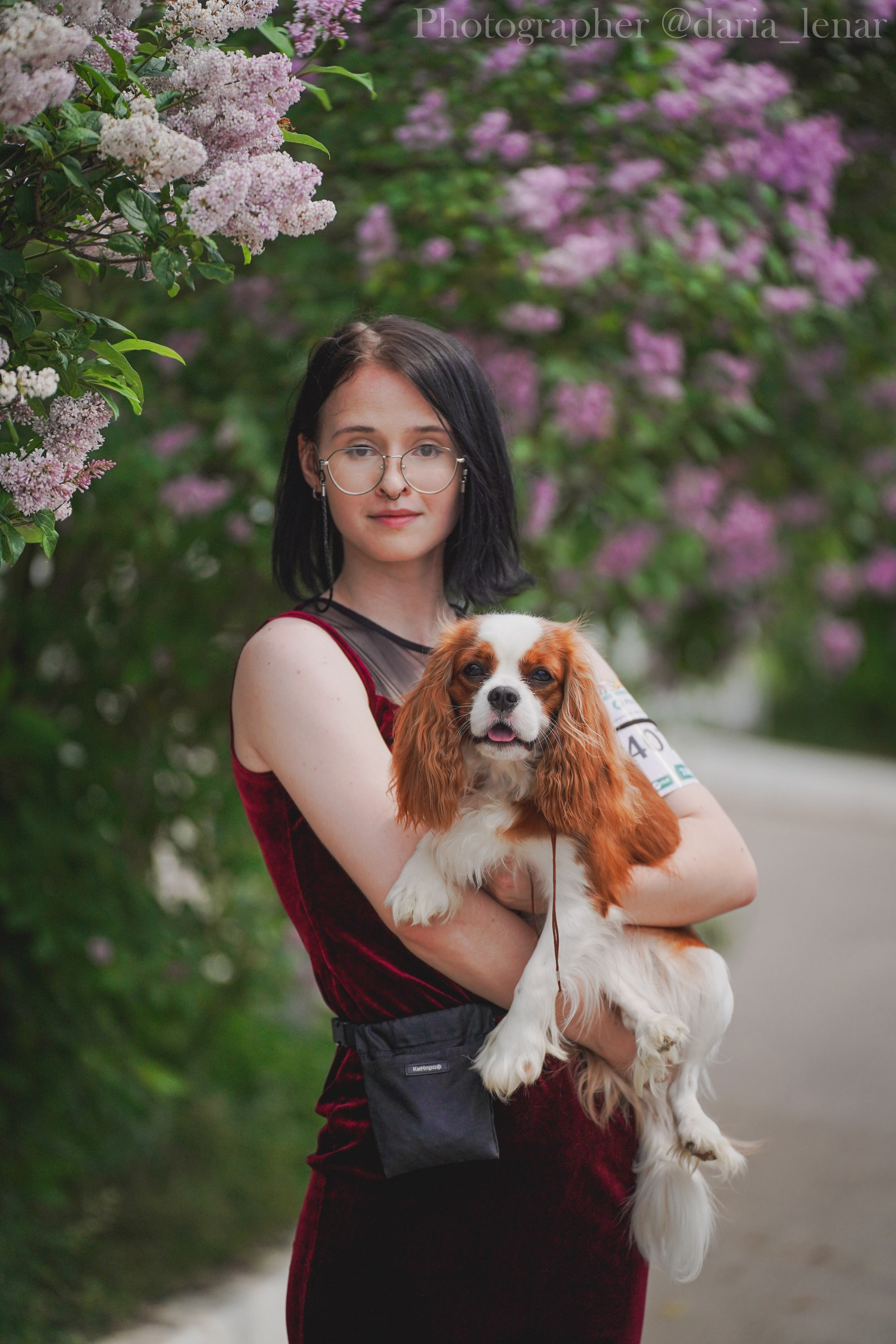 Выставки собак. Фотограф в Москве Ленарская Дарья