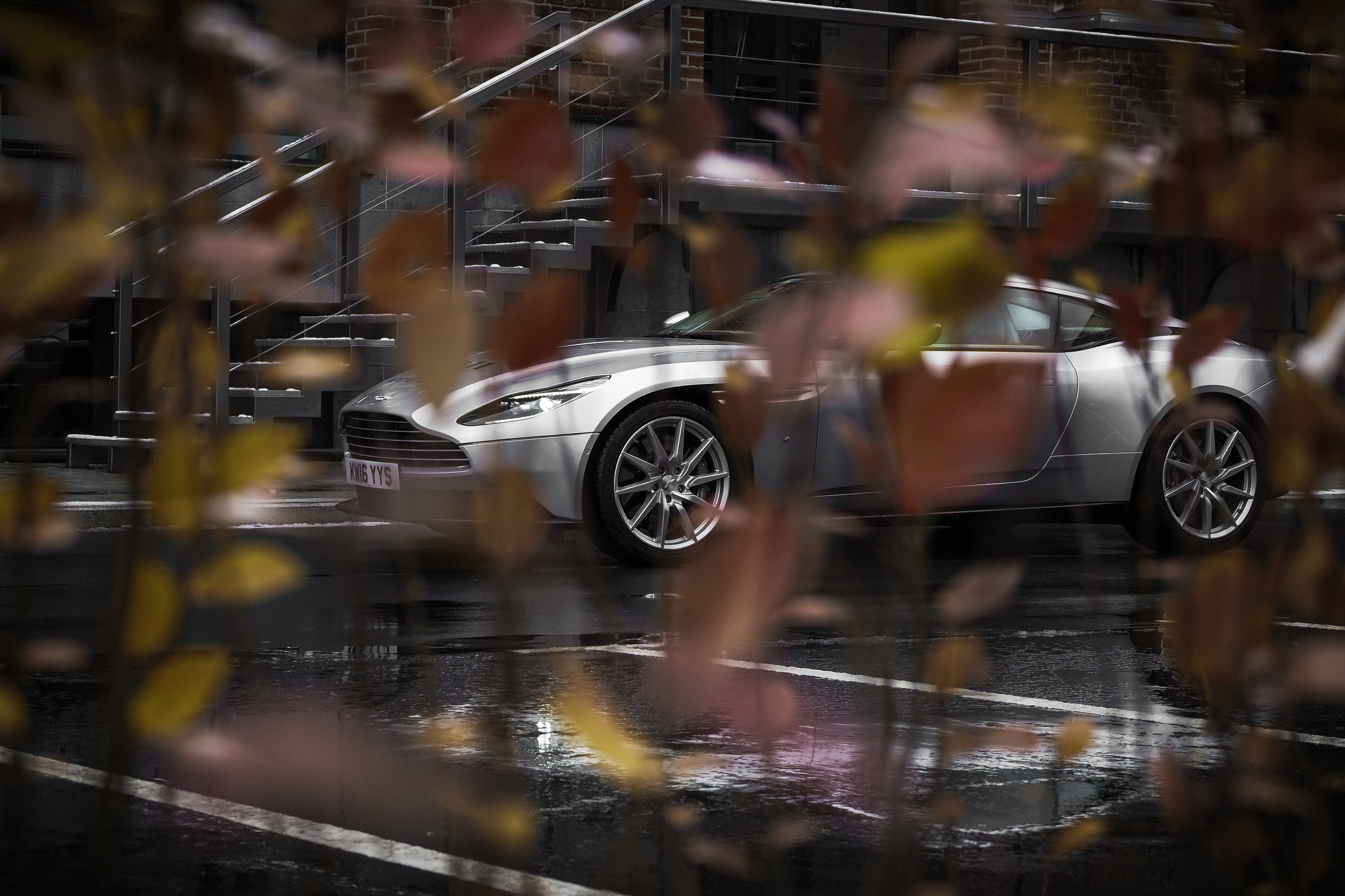 Aston Martin DB11. Гуру мировой свадебной фотографии Александр Ноздрин, г. Москва и весь