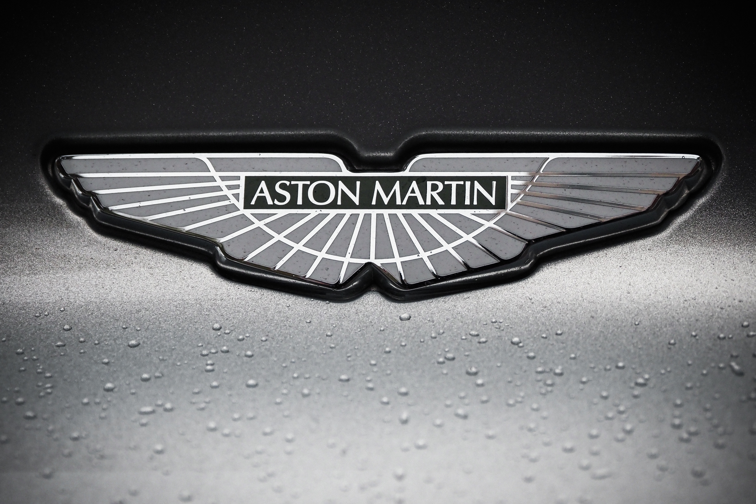 Aston Martin DB11. Гуру мировой свадебной фотографии Александр Ноздрин, г. Москва и весь