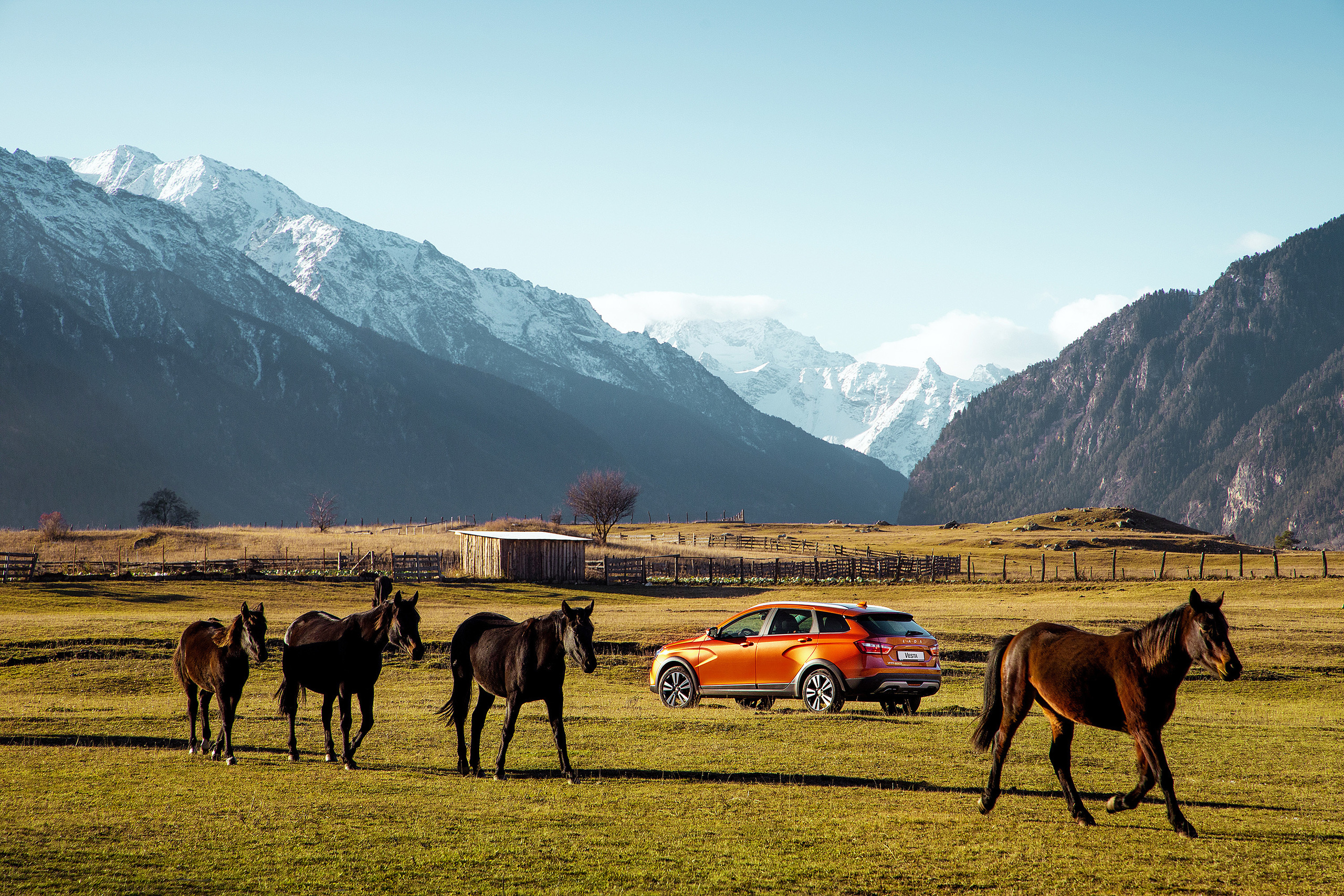 LADA VESTA. Гуру мировой свадебной фотографии Александр Ноздрин, г. Москва и весь