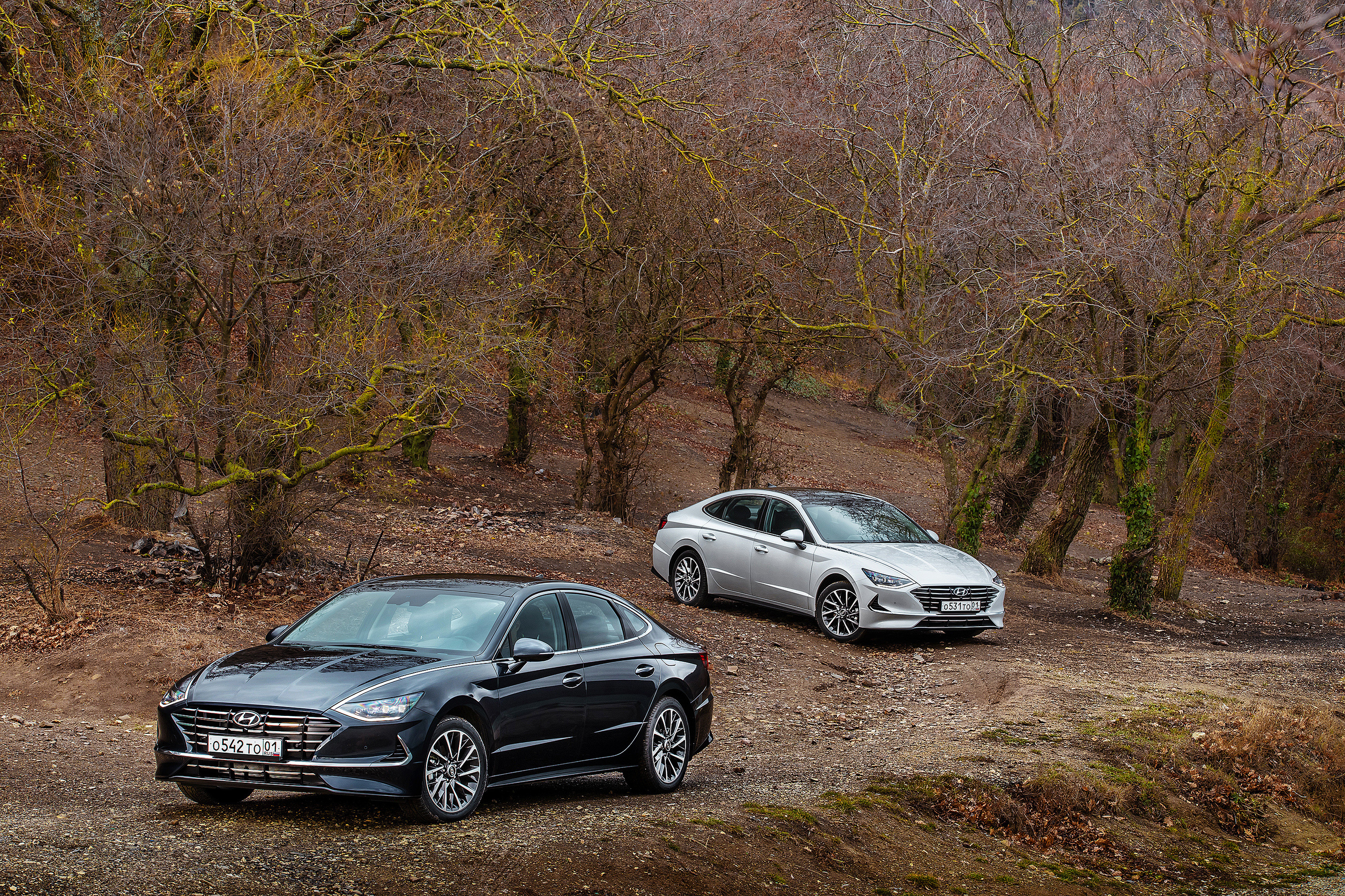 HYUNDAI SANATA. Гуру мировой свадебной фотографии Александр Ноздрин, г. Москва и весь