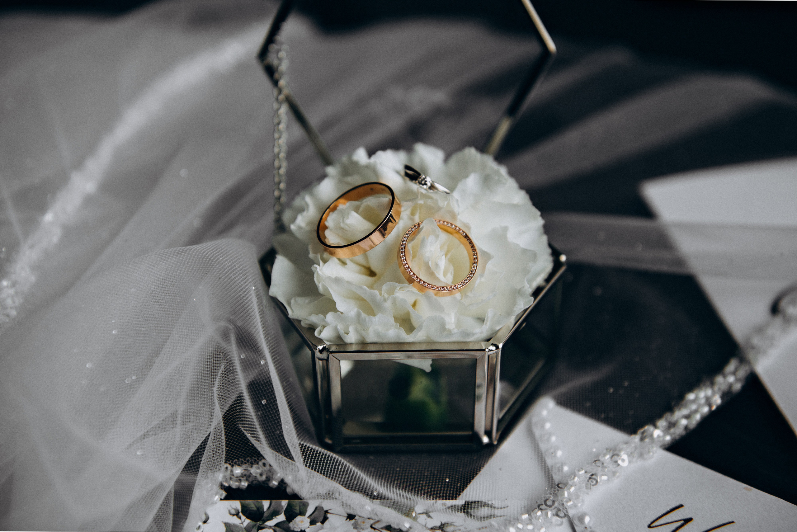 Никита и Настя. Свадебный фотограф в Тамбове и области