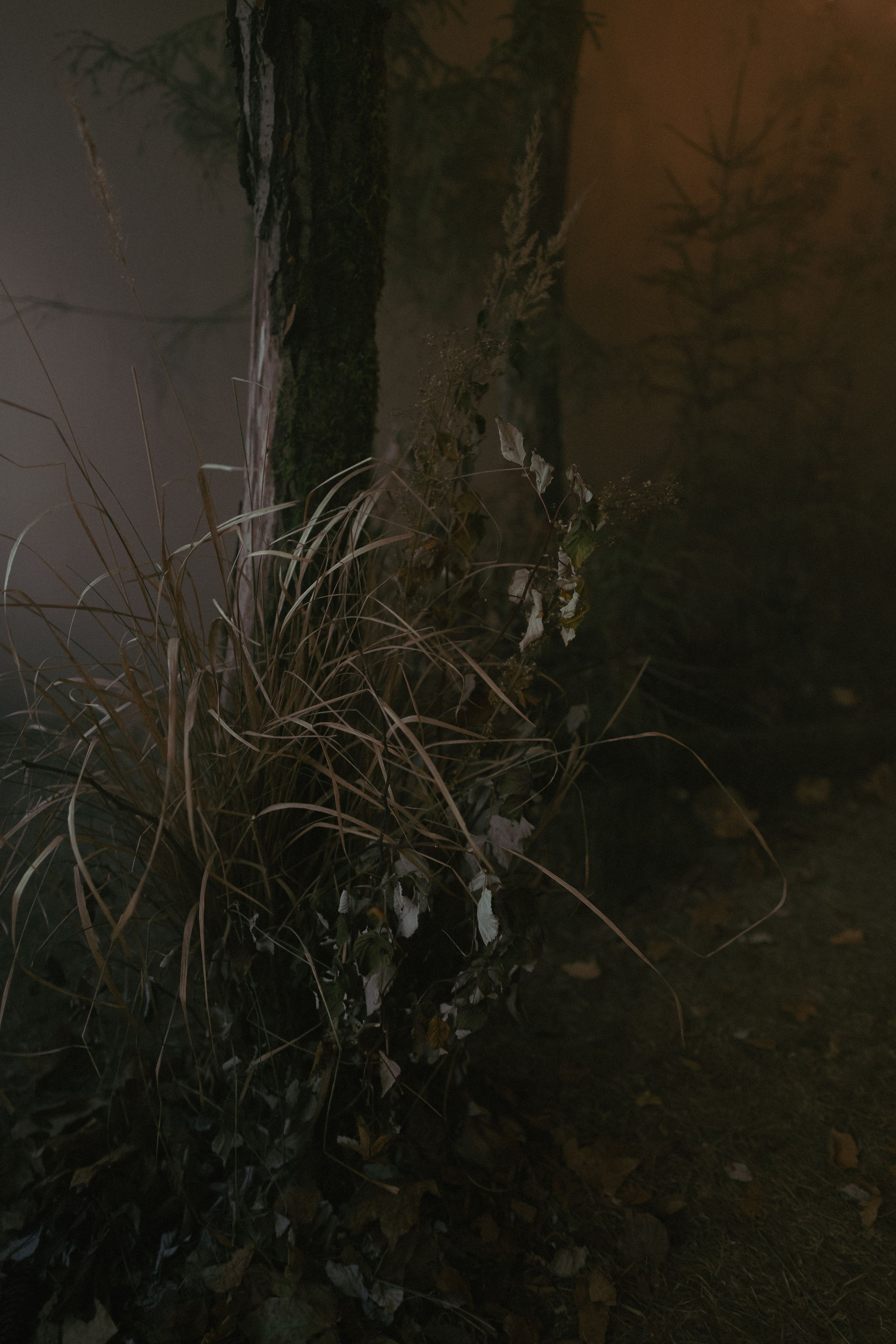 Алина. Фотограф Виктор Курий