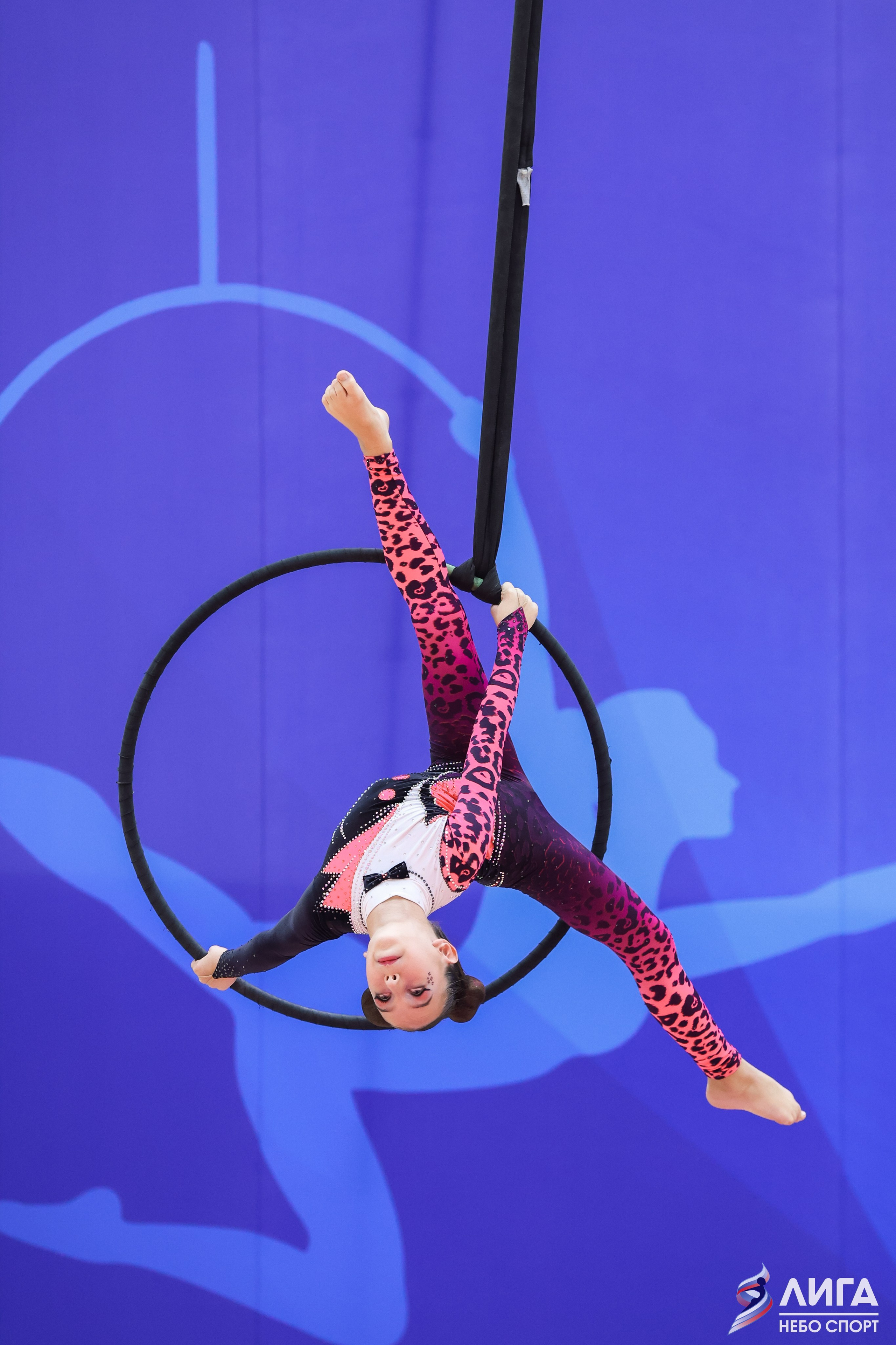 Воздушная гимнастика🏆КУБОК ФЕДЕРАЦИИ Г. МОСКВЫ🏆(16.11.24). Свадебный фотограф Михаил Александров