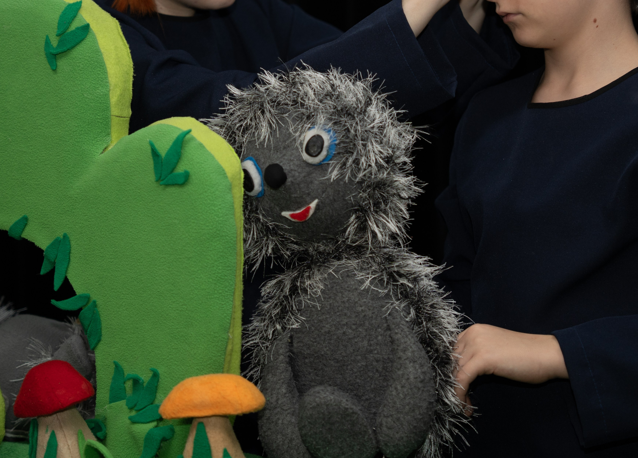 Спектакли. Детский и семейный фотограф в Краснознаменске Гостеева Екатерина