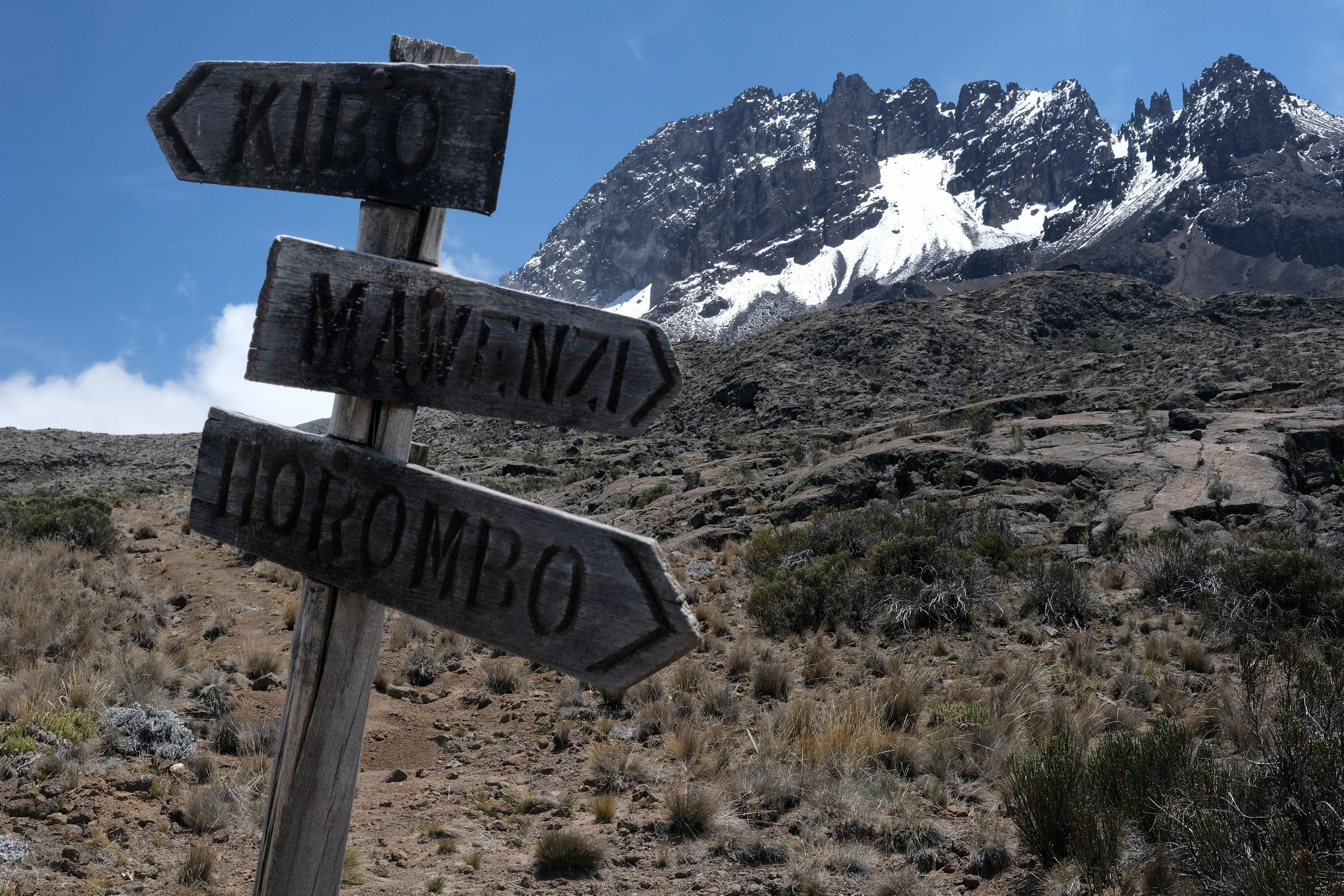 Килиманджаро