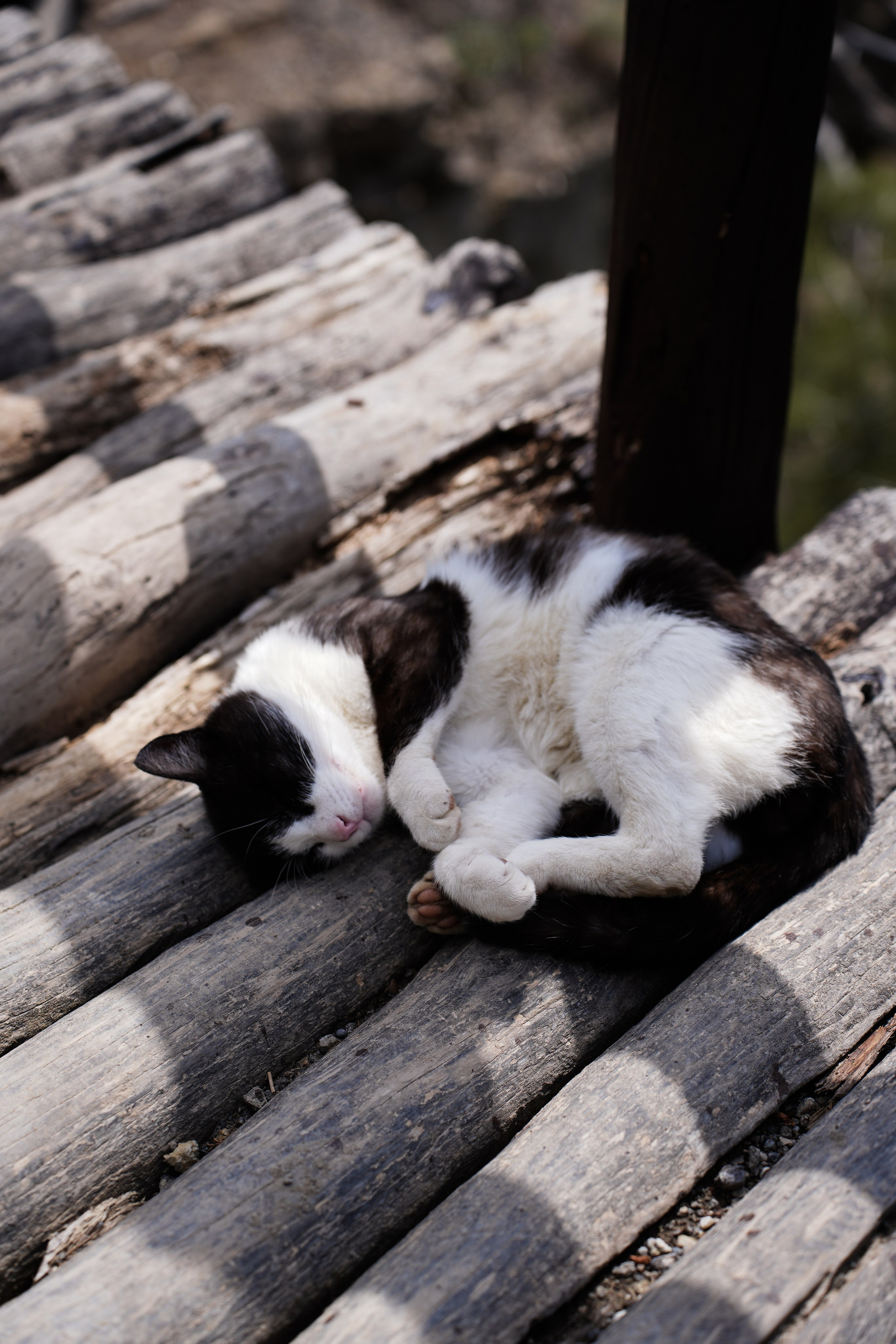 Крым. Анна Жукова — Режиссёр кино и цирка, сценарист, фотограф