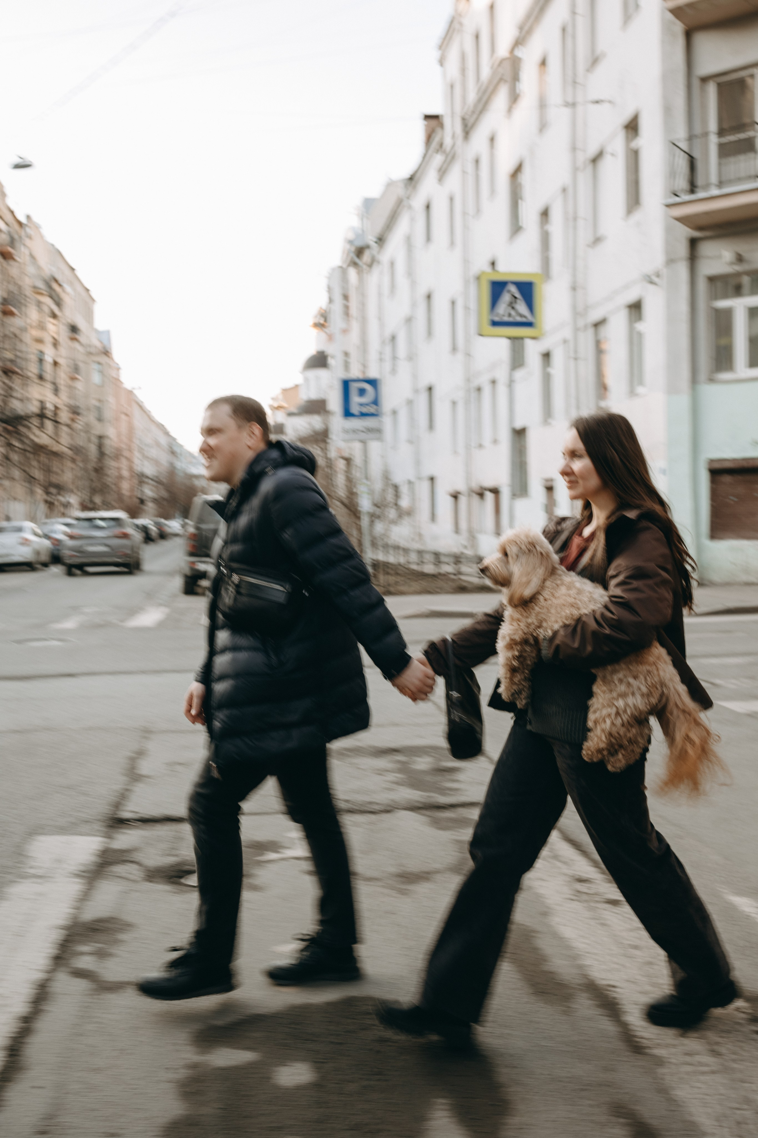Шкипер и его семья. Фотограф — Анималист | Санкт-Петербург