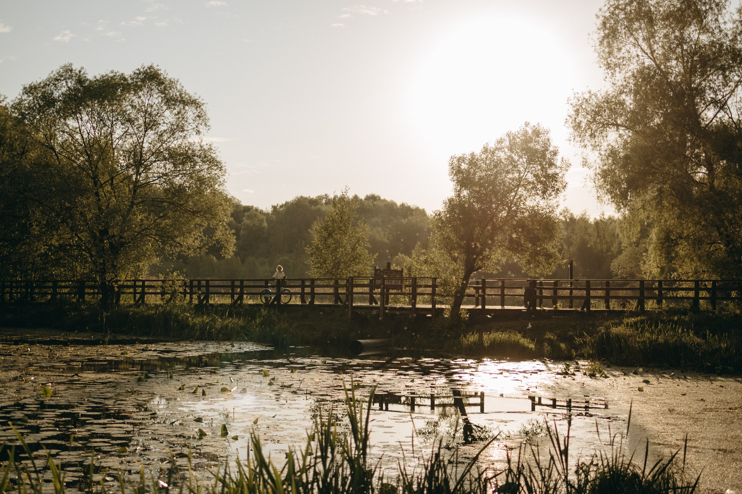 Екатерина и Лёня. Фотограф — Анималист | Санкт-Петербург