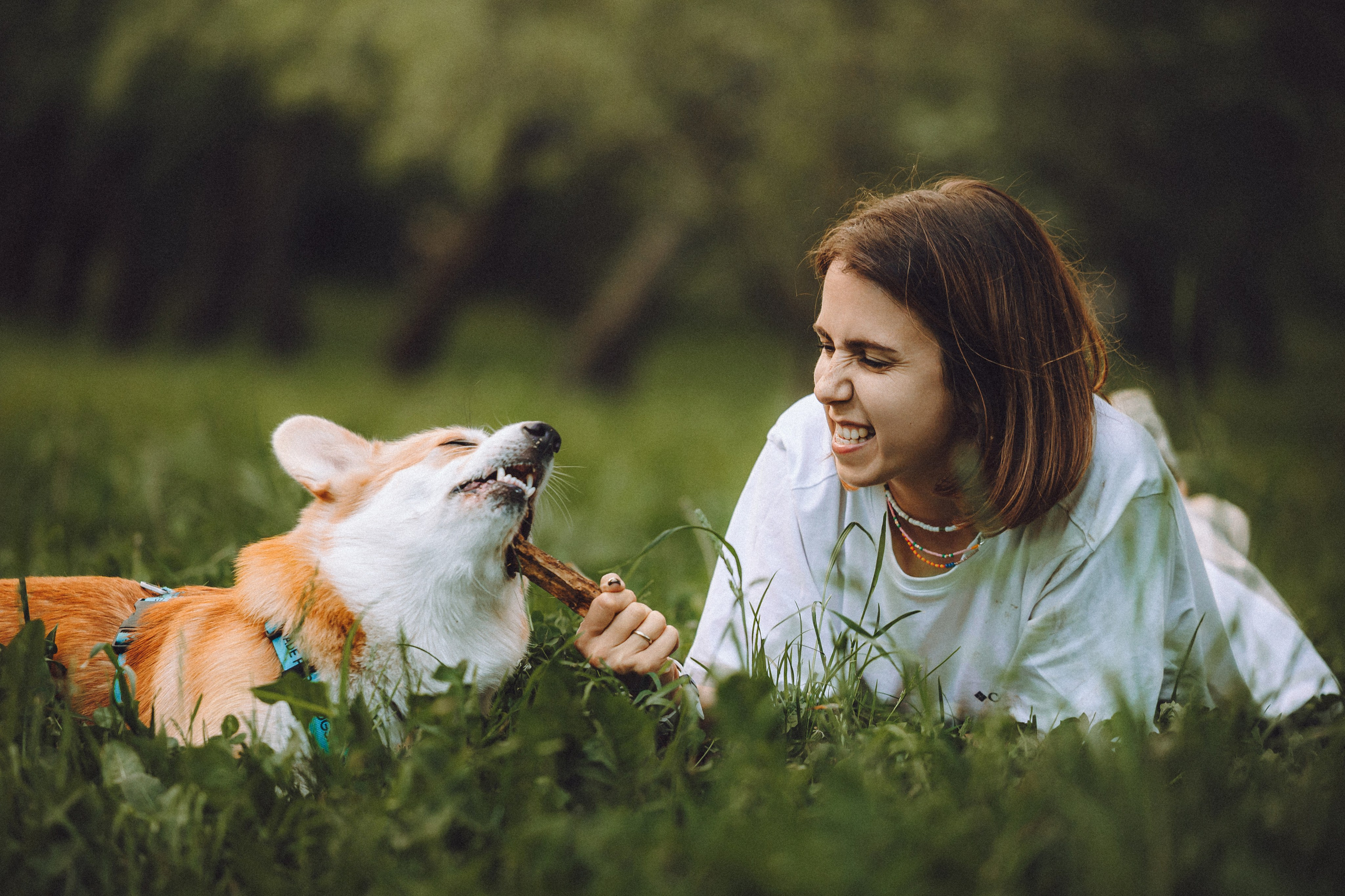 Вирджик и его семья