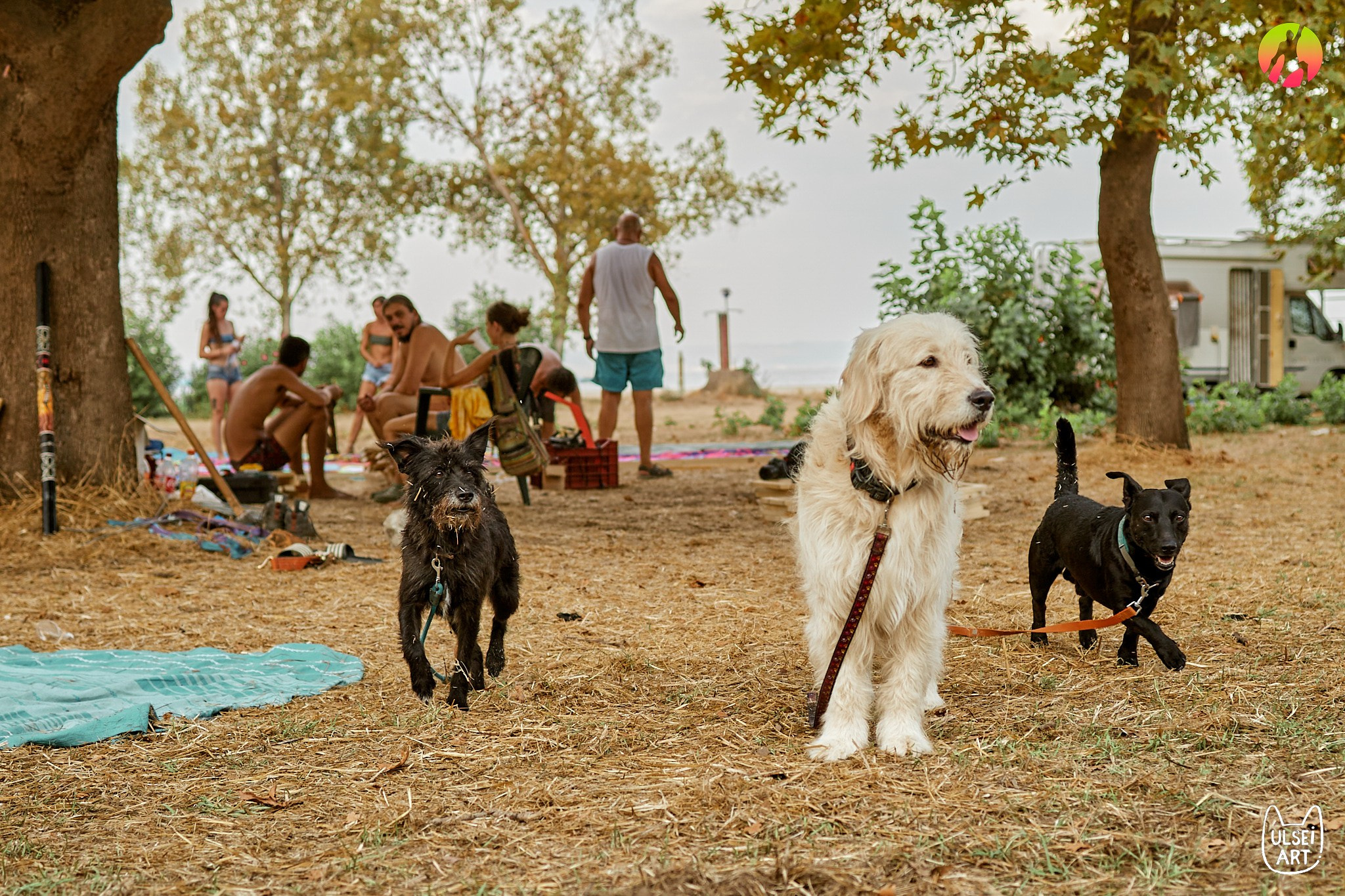 Free Earth festival 2024. Фотохудожник Елена Криулина