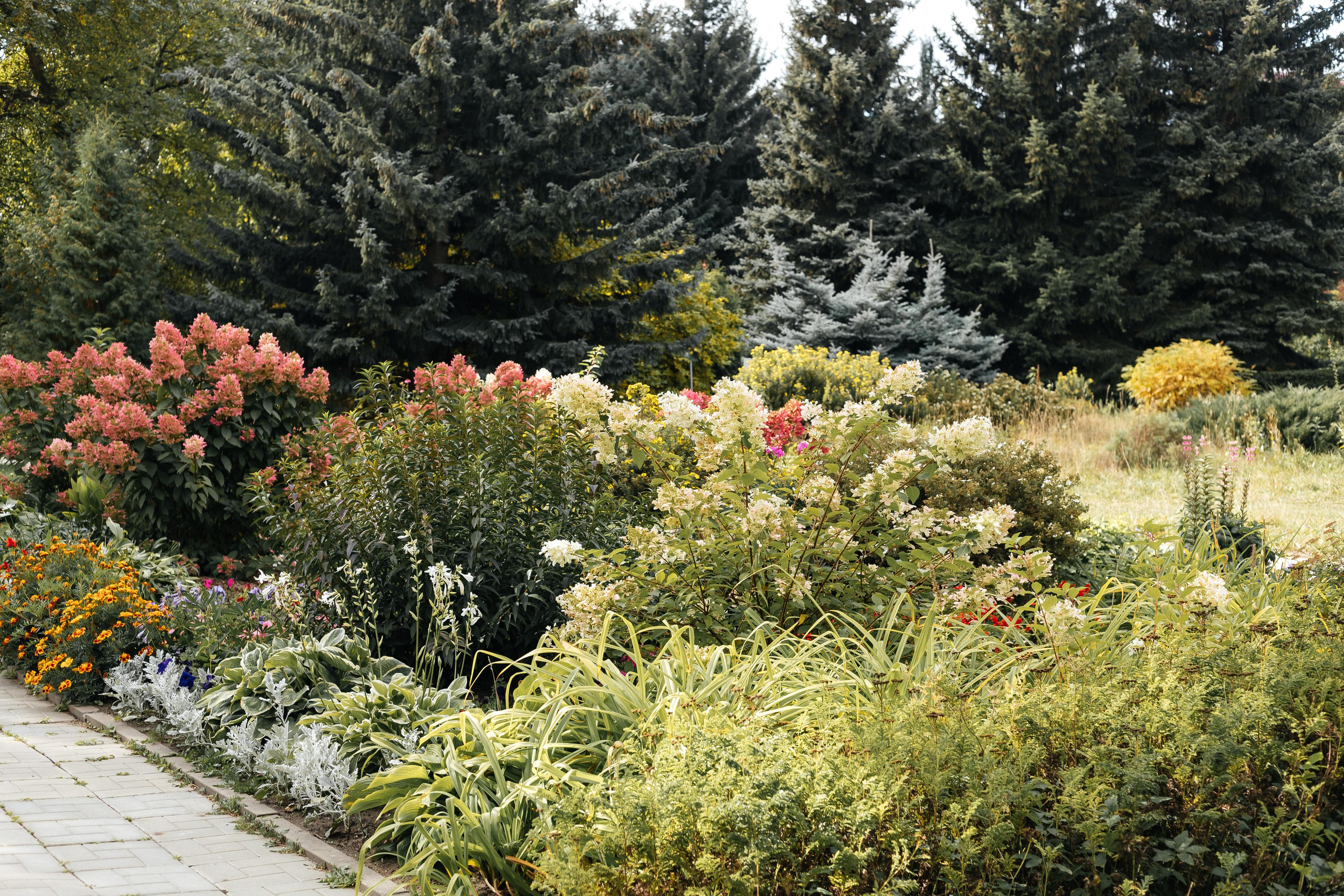 Маша и Женя. Свадебный и Семейный фотограф Свекрова Ольга