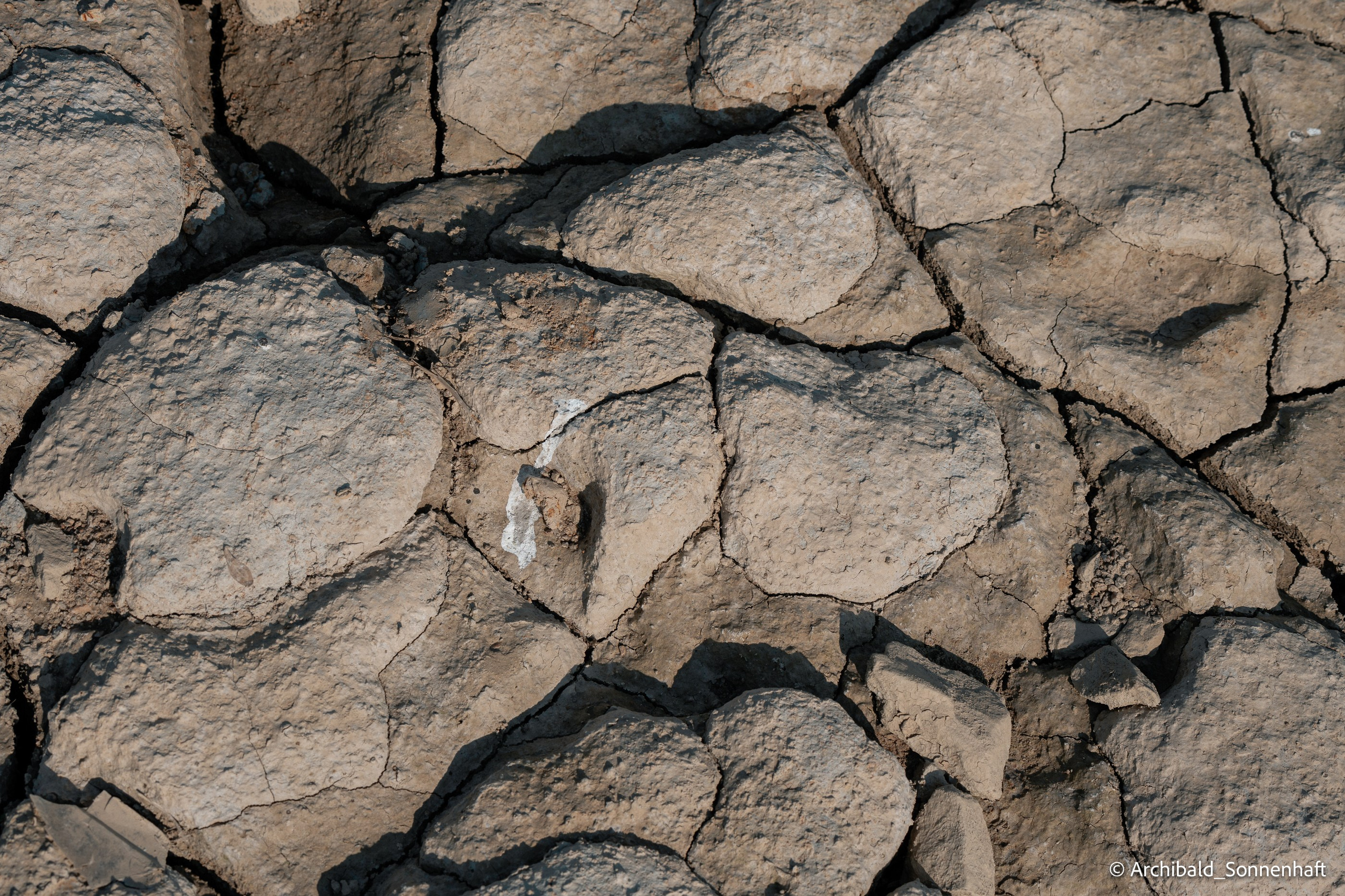 Weekend kayaking trip. Photographer in Guangzhou, China. Archibald Sonnenhaft
