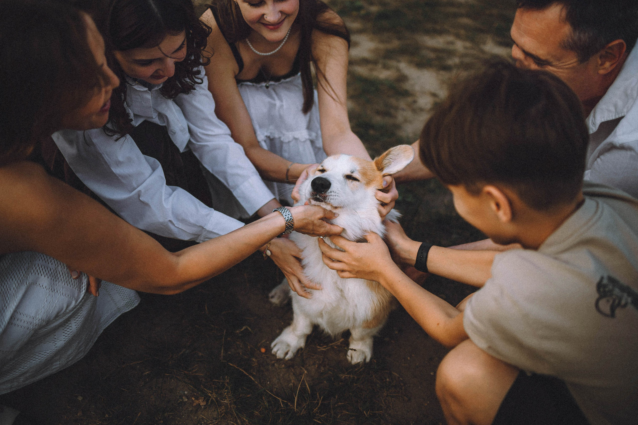 Арчи и его семья