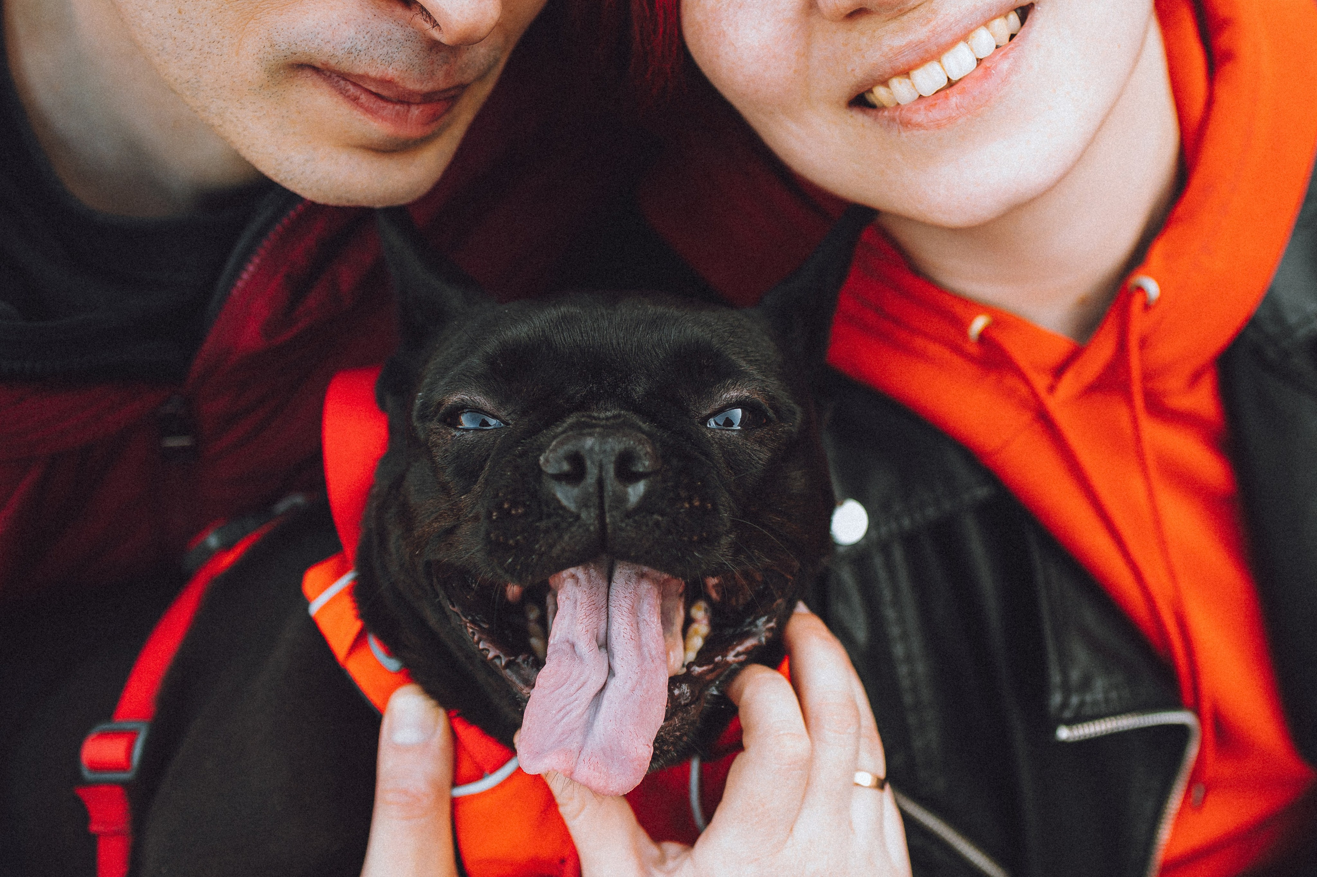 Саша, Дима и Шпуля